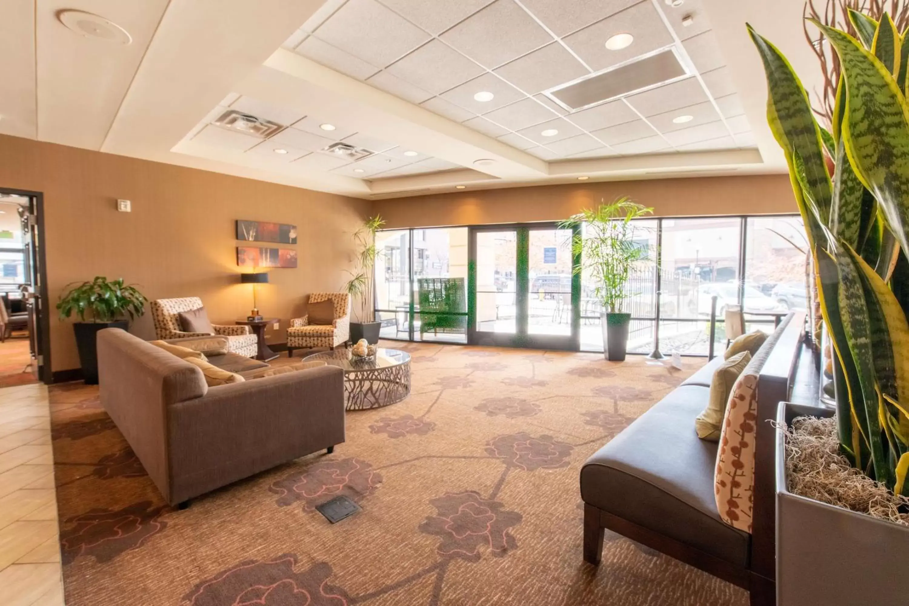 Lobby or reception, Lobby/Reception in Hilton Garden Inn Ogden