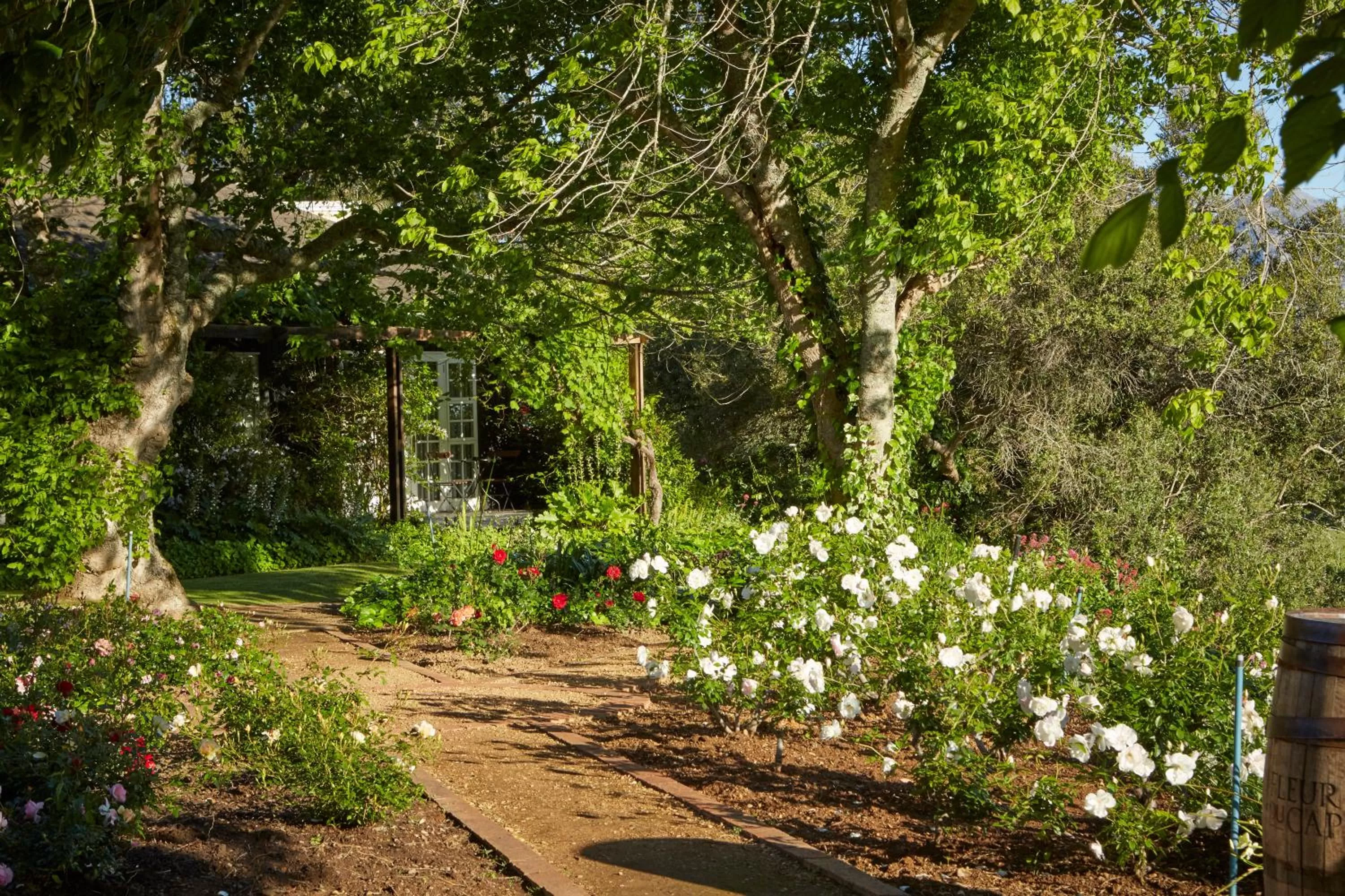 Natural landscape in The Devon Valley Hotel