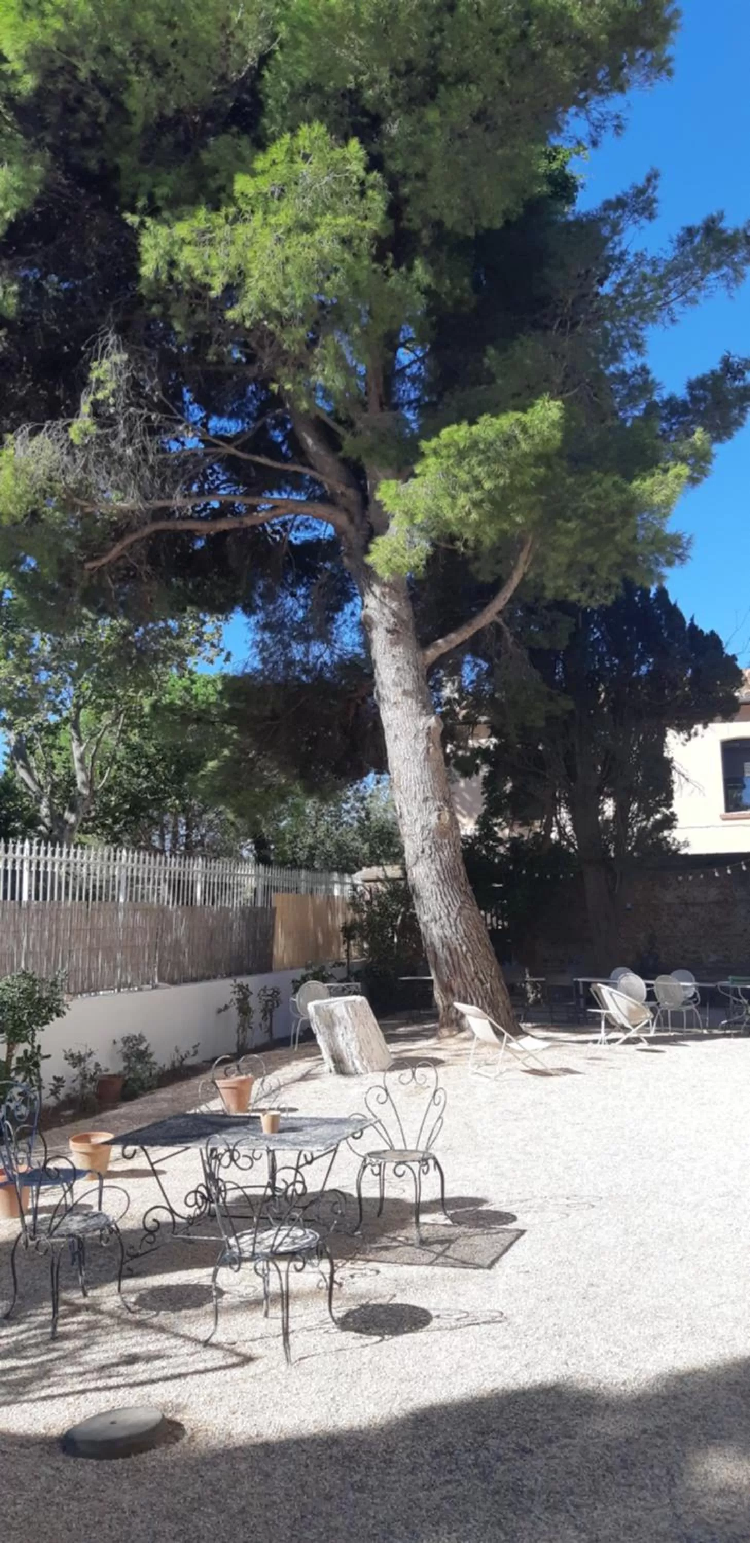 Garden in Mas Palegry côté terrasse