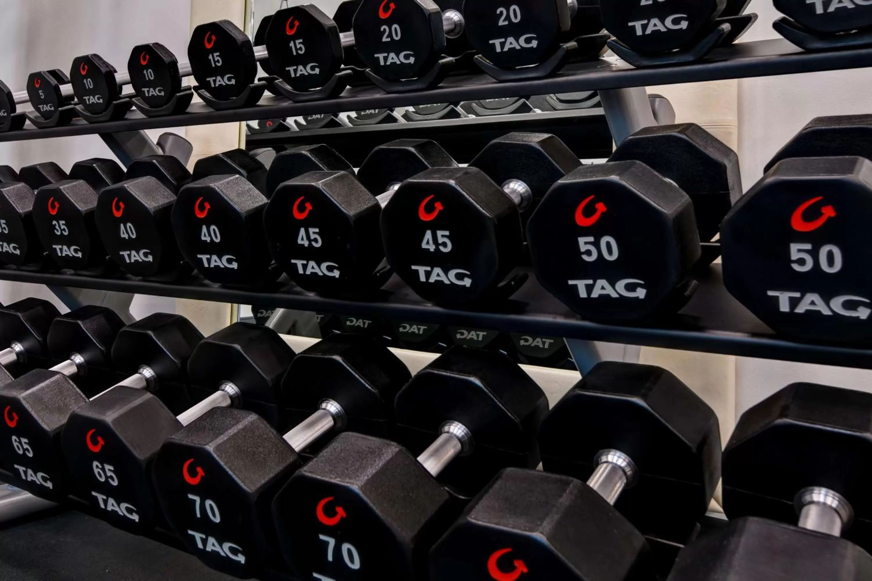 Fitness centre/facilities in Hampton Inn & Suites Tampa Riverview Brandon