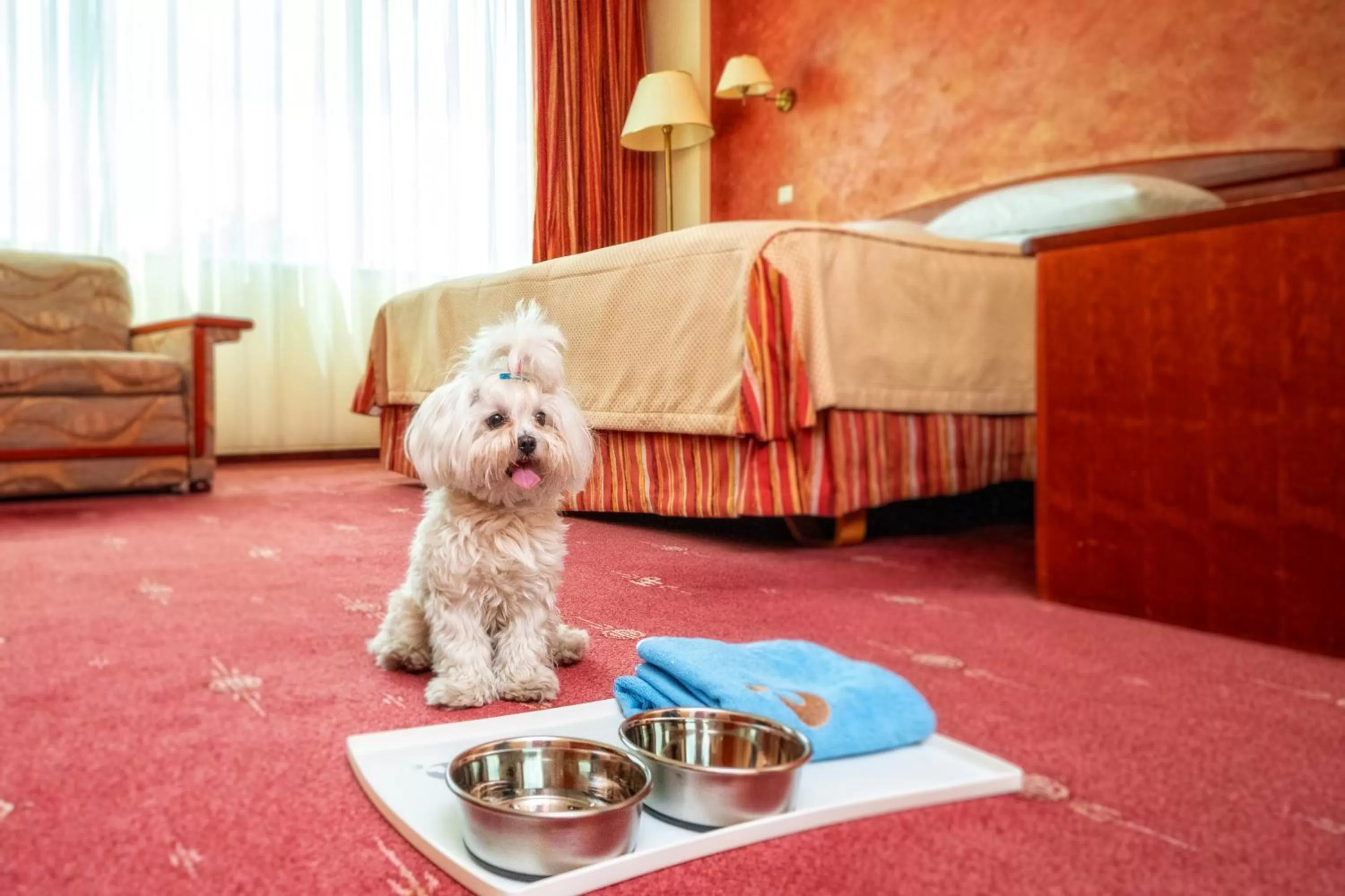 Photo of the whole room in HP Park Plaza