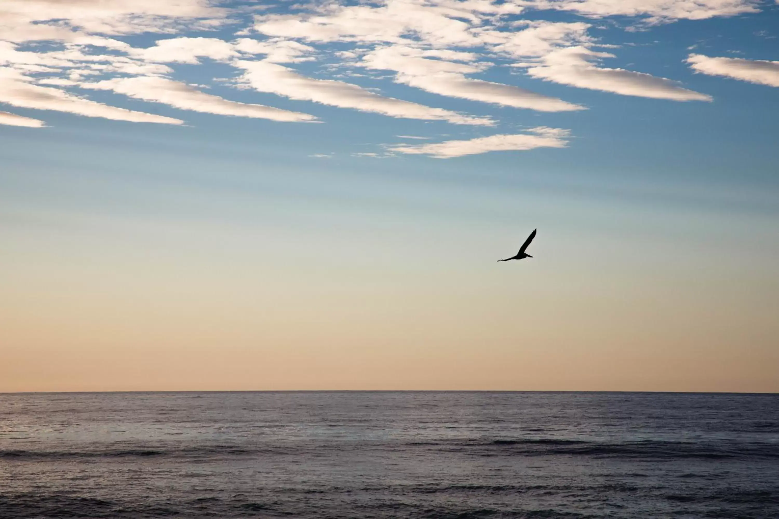 Natural landscape, Sunrise/Sunset in PAL.MAR Hotel Tropical