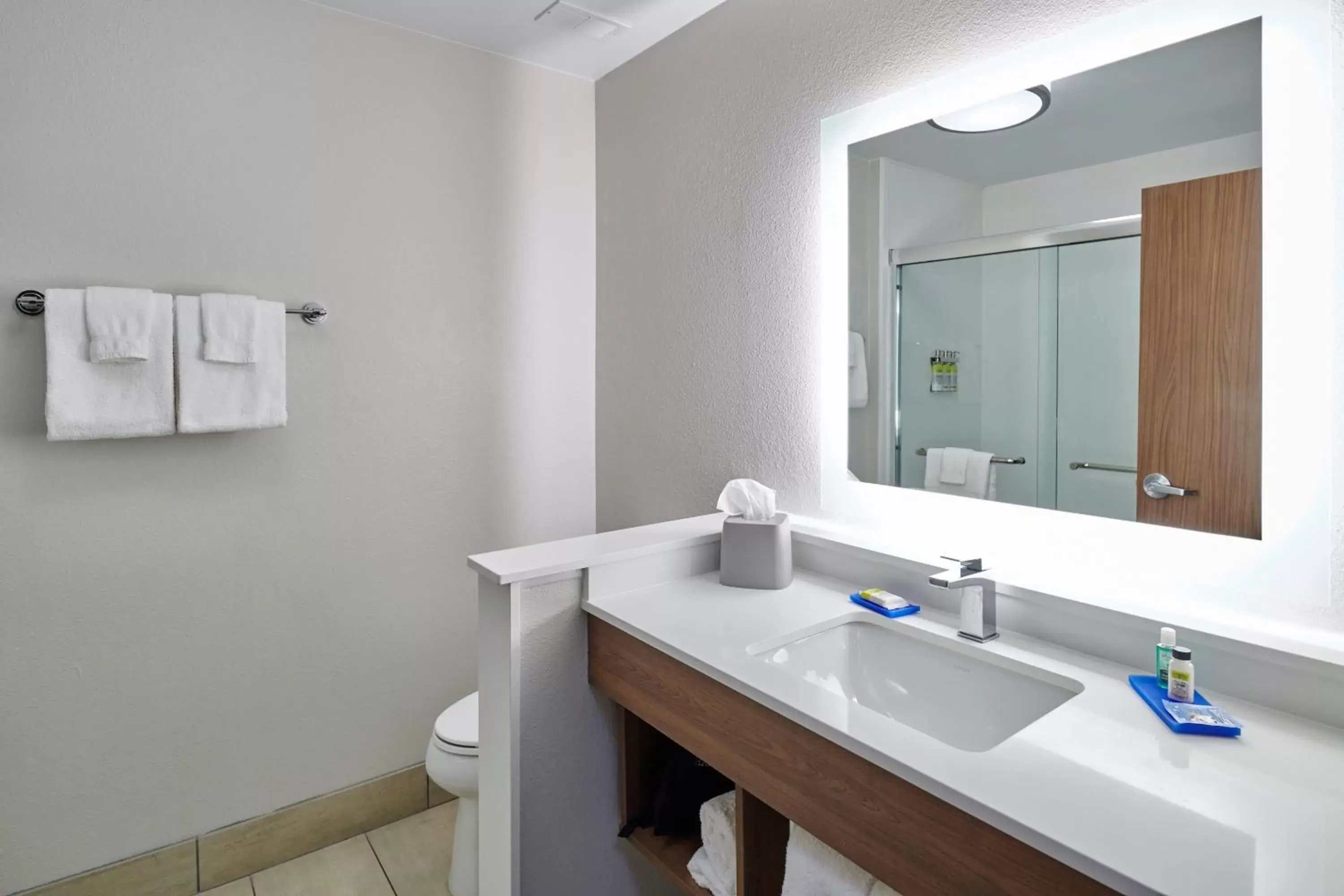 Bathroom in Holiday Inn Express - El Paso - Sunland Park Area, an IHG Hotel