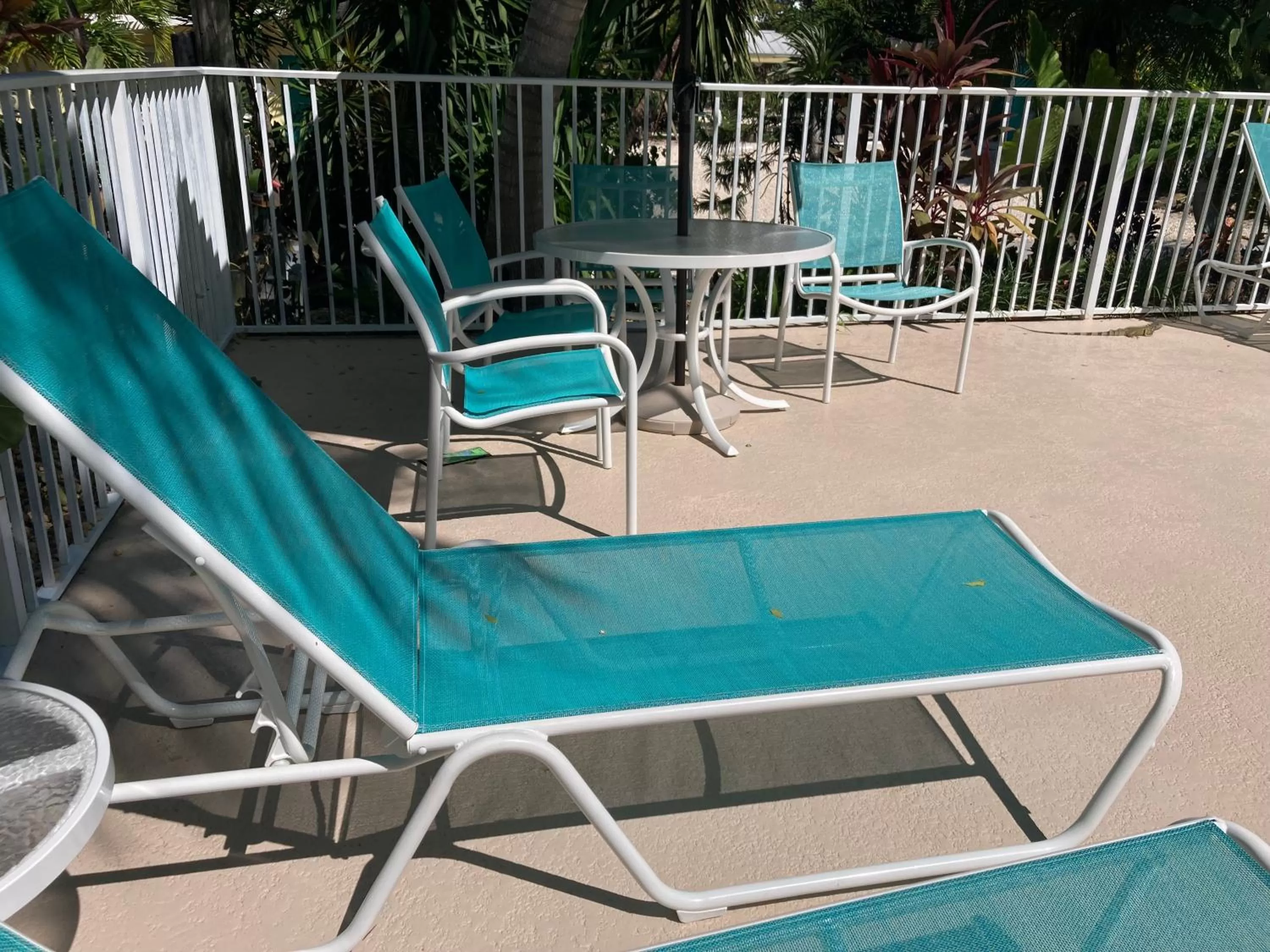 Swimming Pool in Coconut Bay Resort - Key Largo