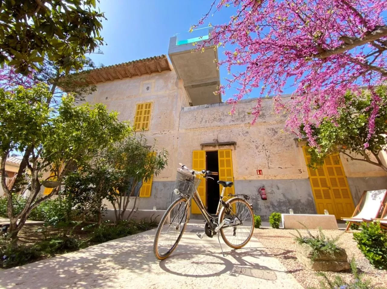 Garden in Hotel Boutique Can Pocovi