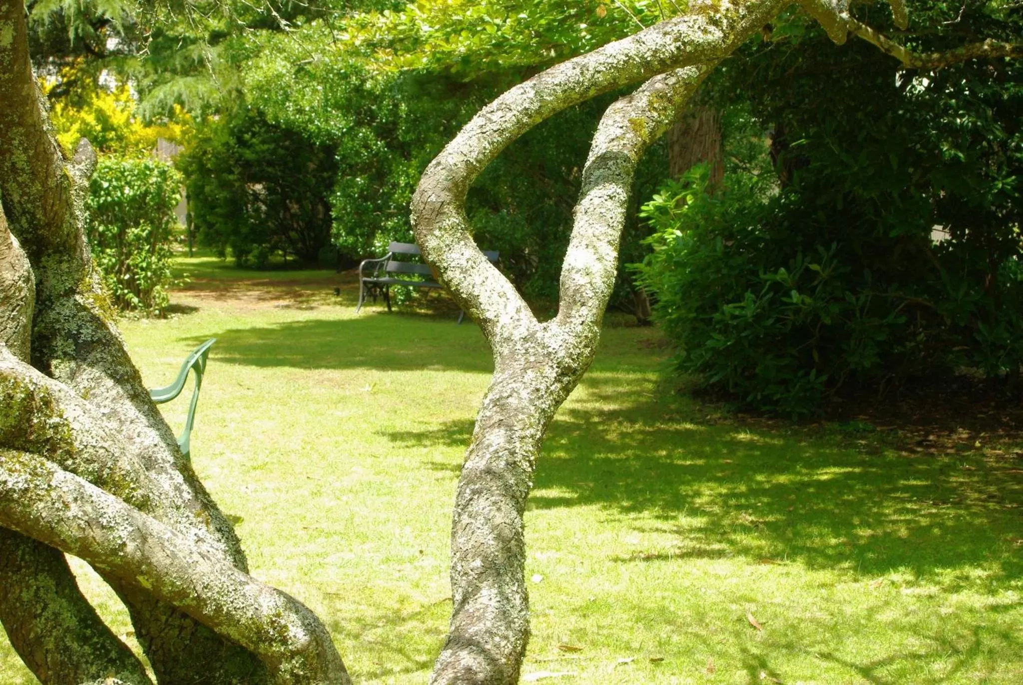 Day in Blackheath Motor Inn