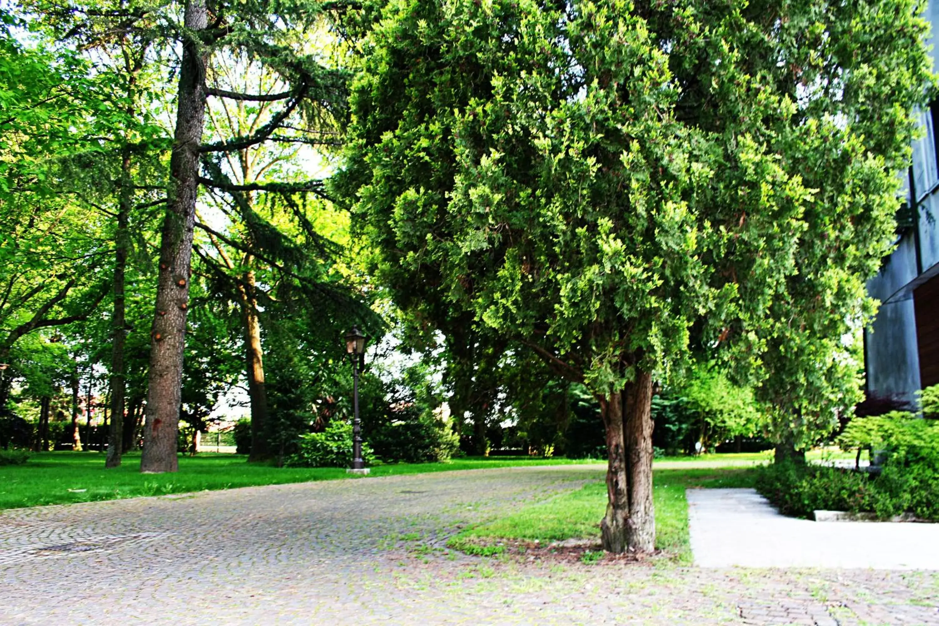 Garden in Park Hotel Villa Giustinian