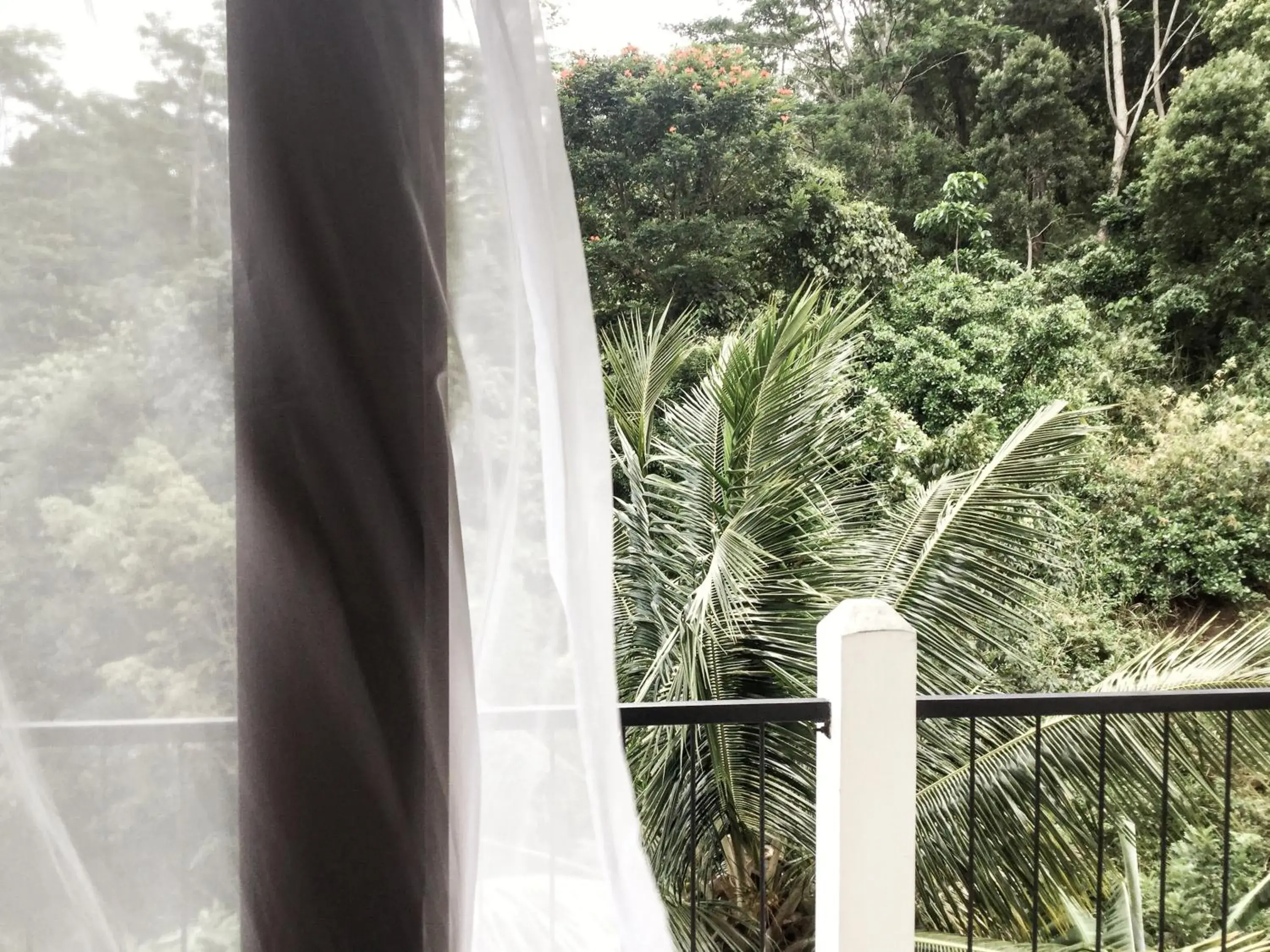 Balcony/Terrace in Hanthana House