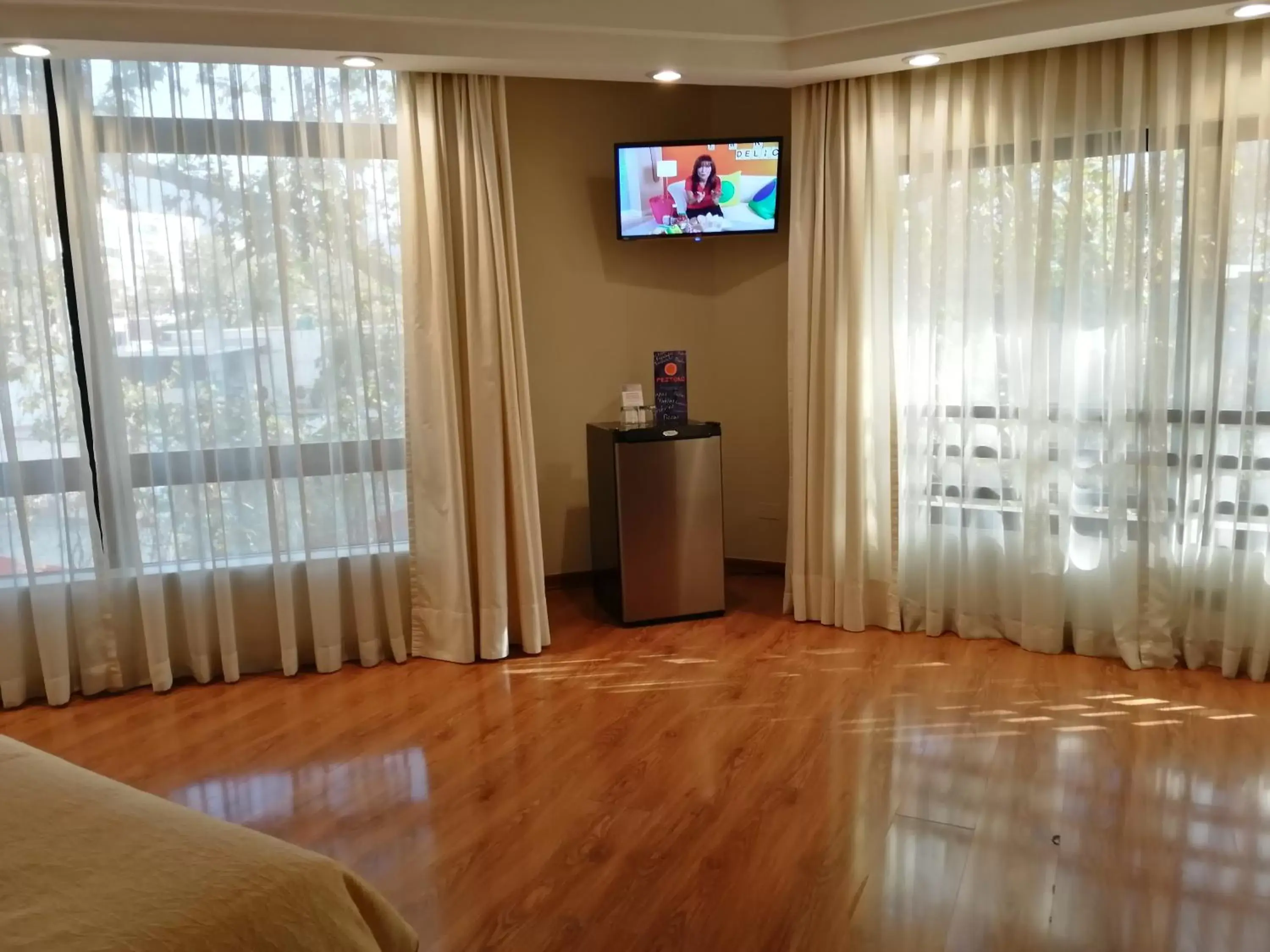 Area and facilities, TV/Entertainment Center in Hotel Diego de Velazquez