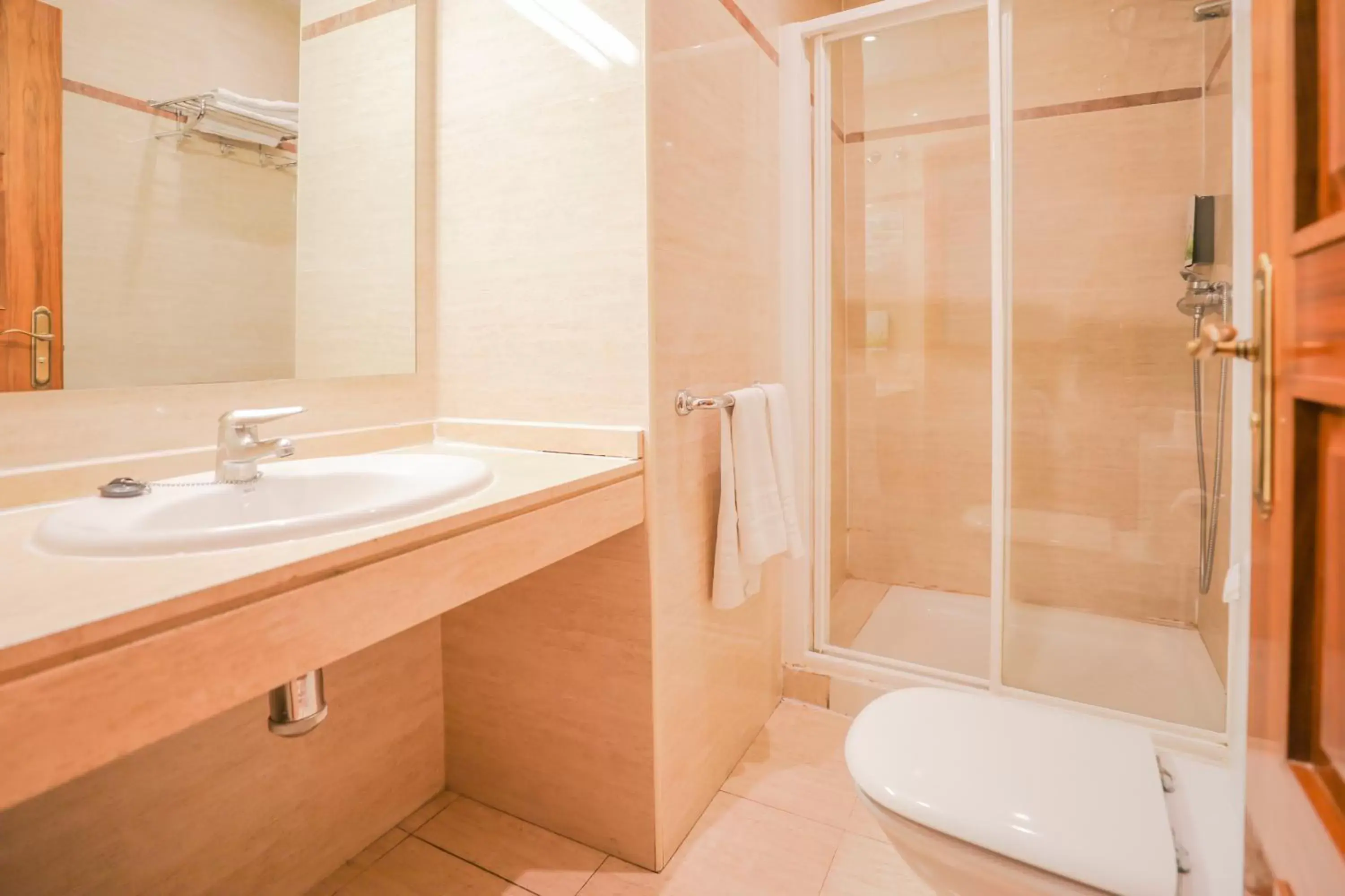 Shower, Bathroom in Hotel Granada Centro