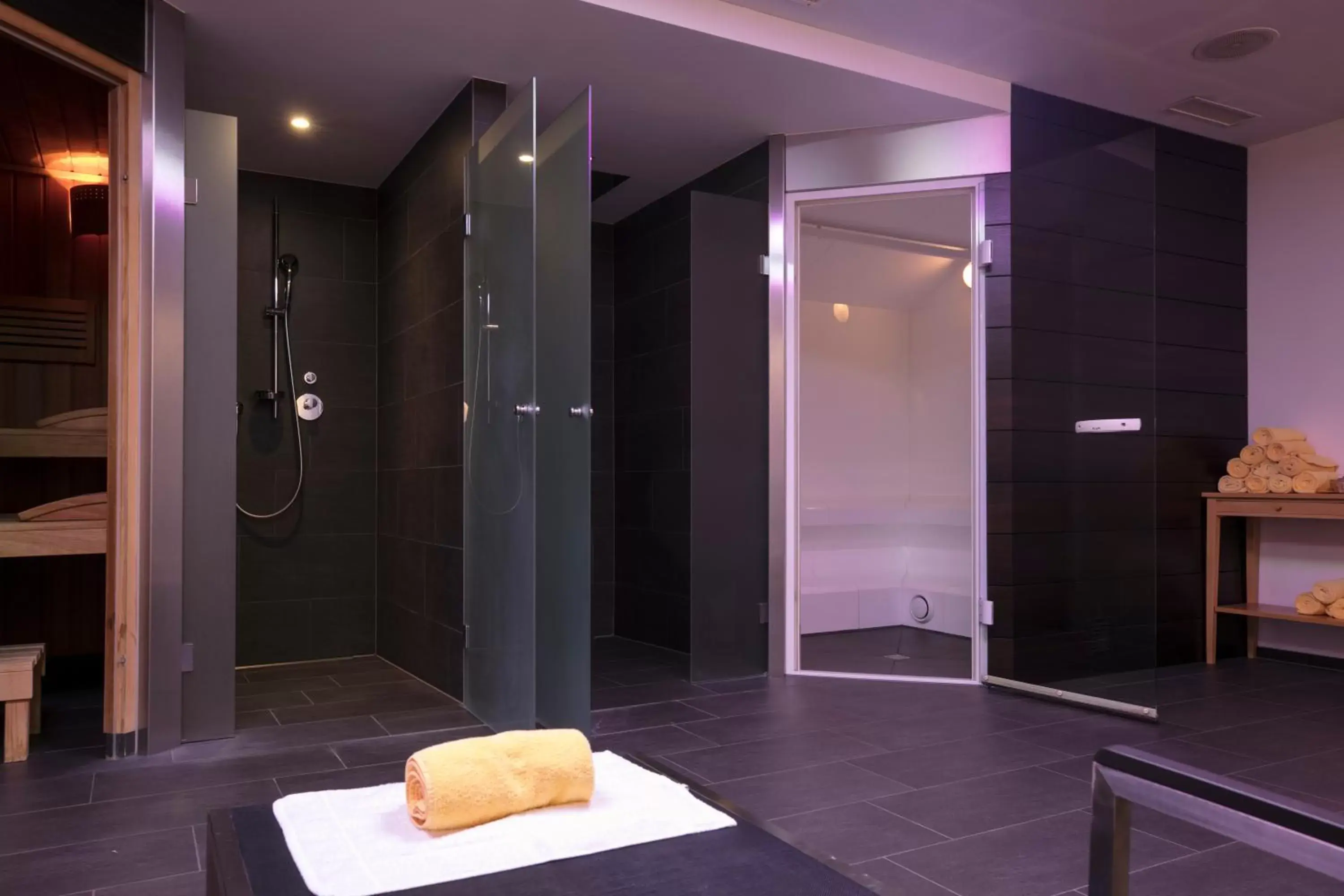 Spa and wellness centre/facilities, Bathroom in ABC Swiss Quality Hotel
