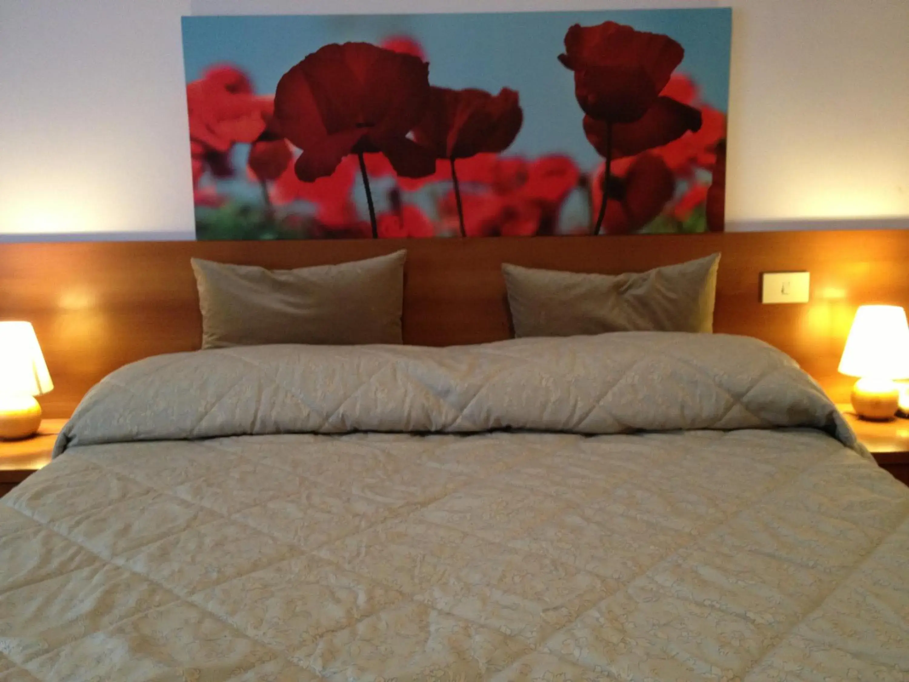 Bed in Hotel Indicatore Budget & Business At A Glance