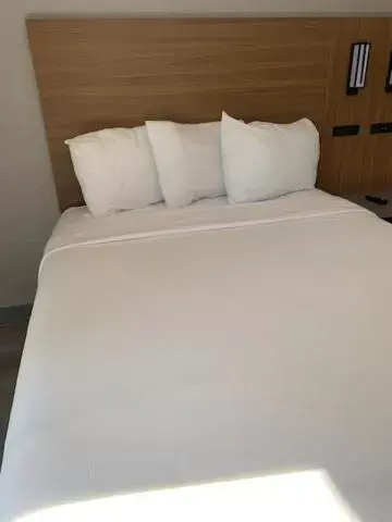 Bed in Motel 6-Santa Ana, CA