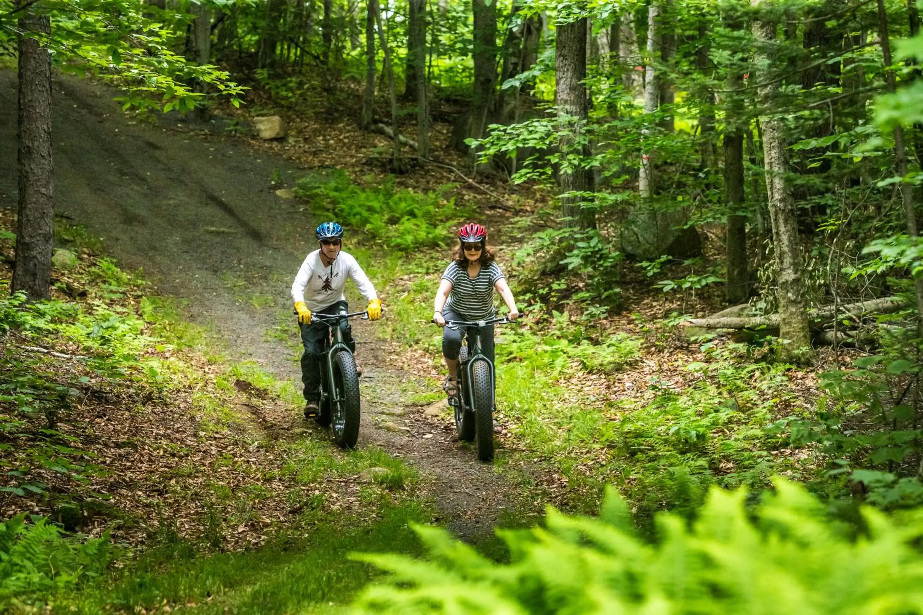 Cycling in Garnet Hill Lodge