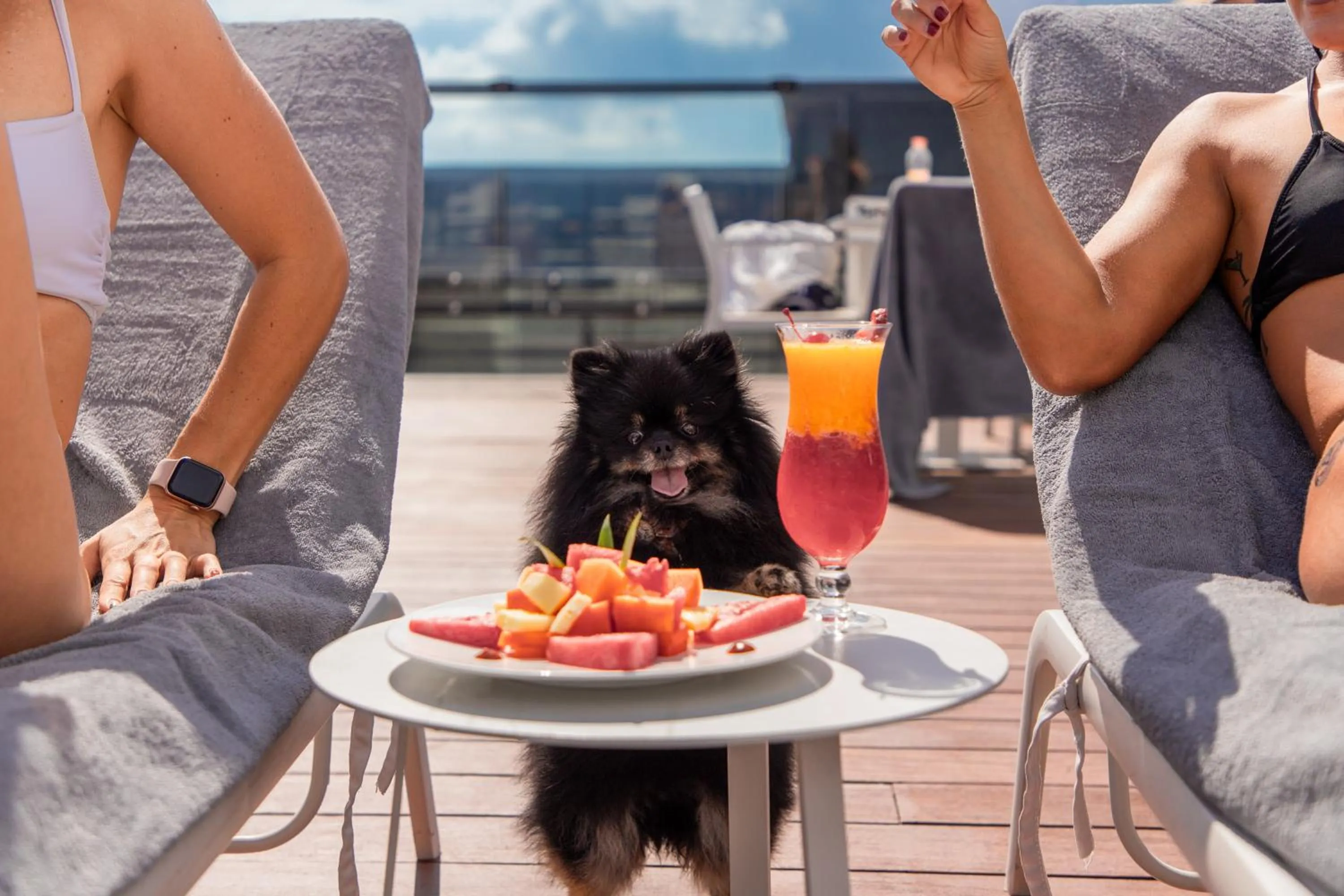 Pets in Serenity Hotel Boutique By Alsol