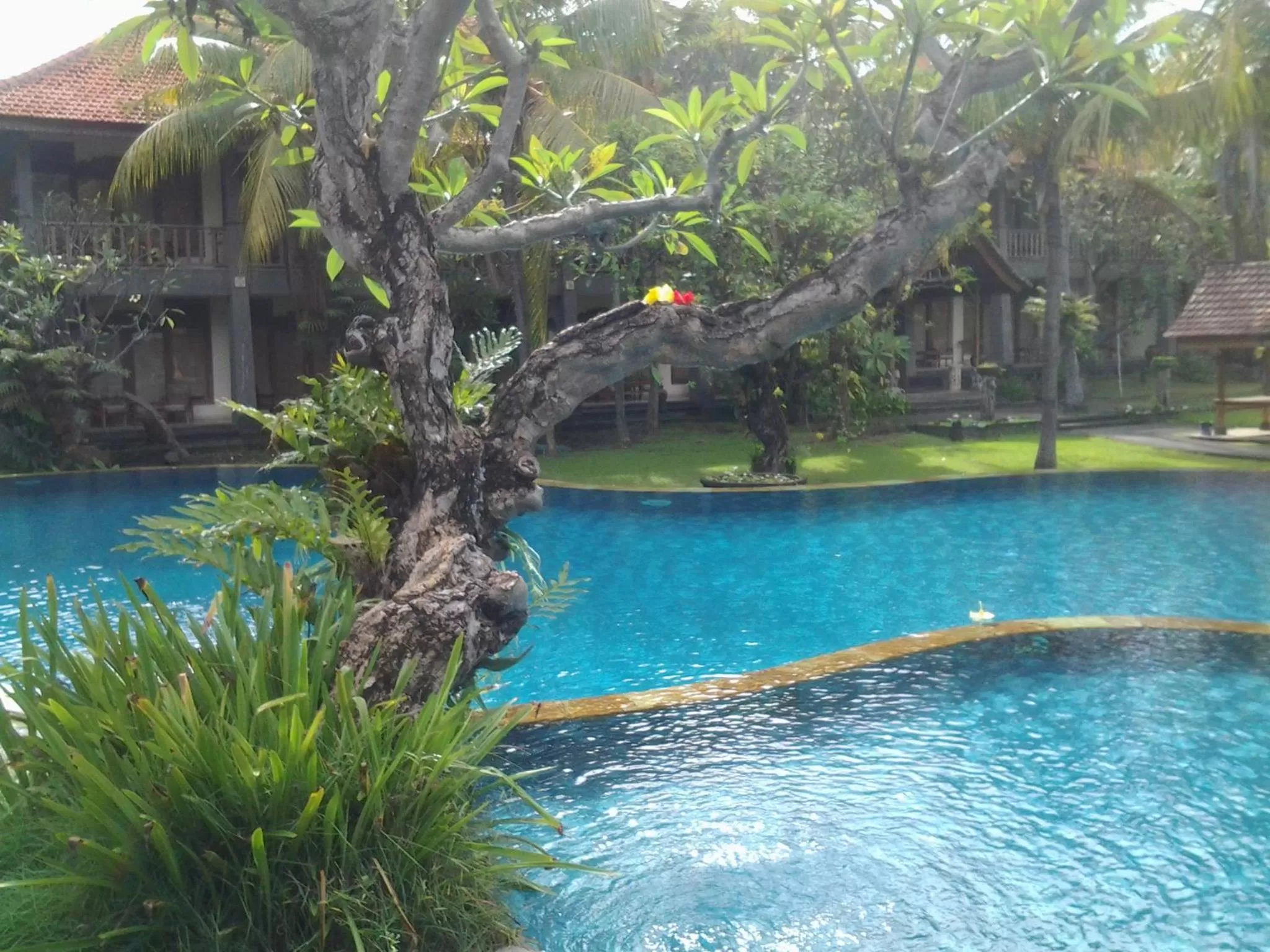 Swimming Pool in Nirwana Sea Side Cottages