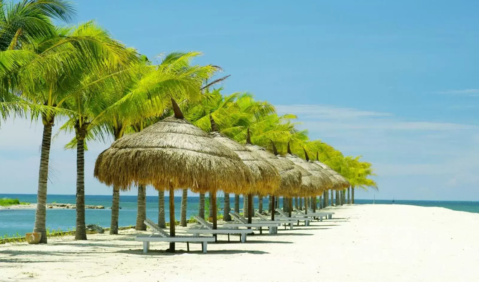 Beach in Aaron Hotel