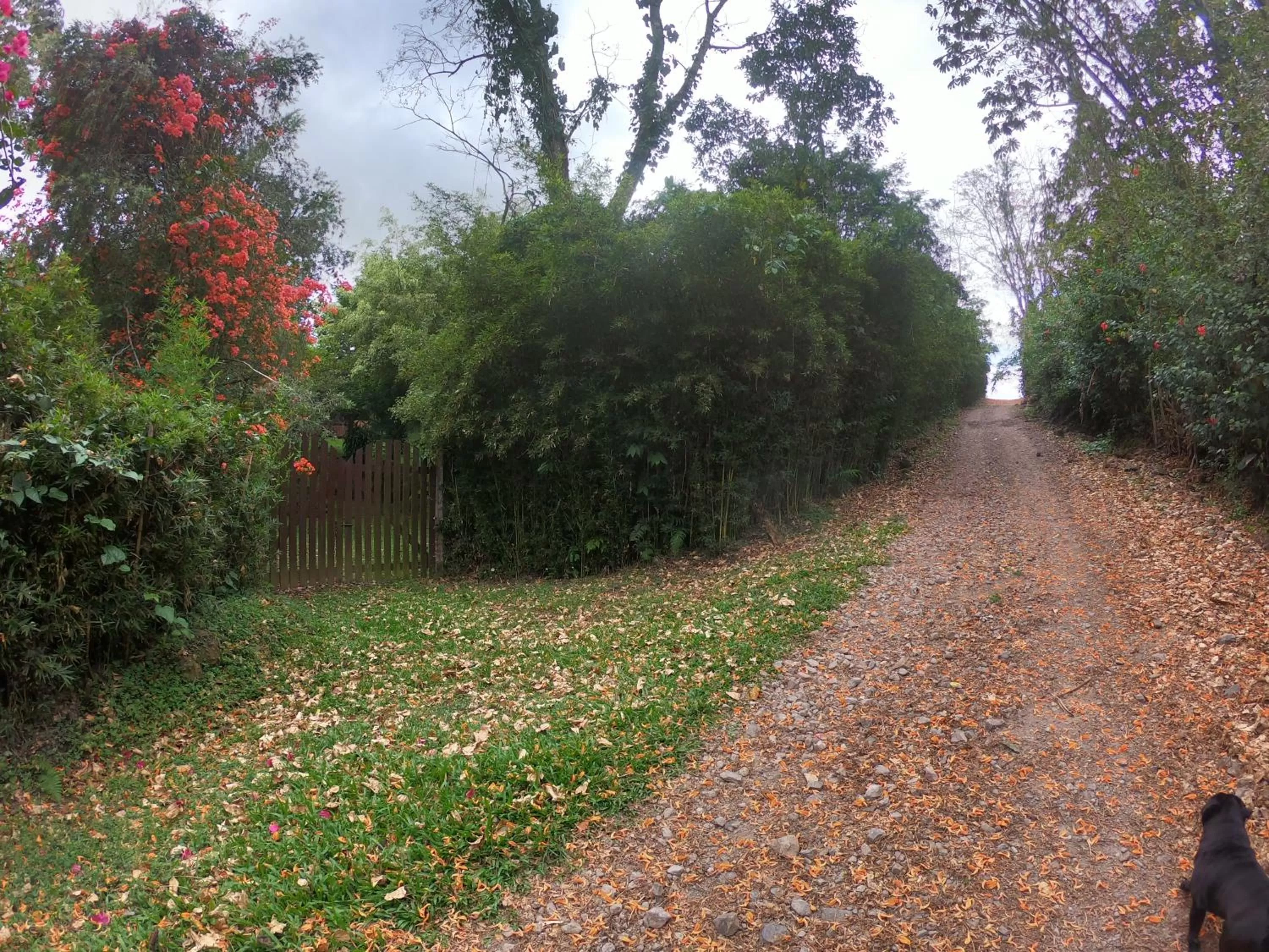 Garden in Hospedaje La Naciente