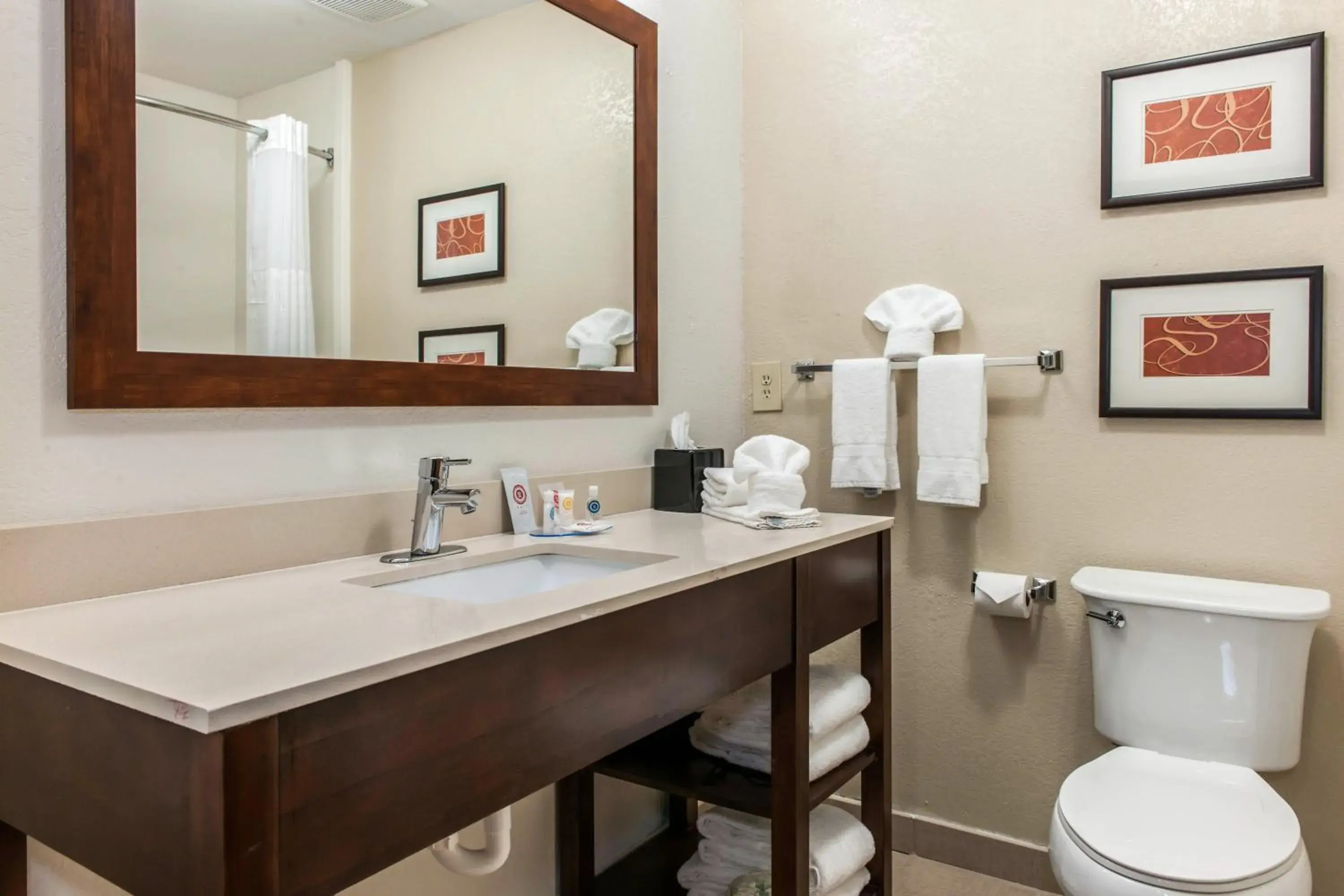 Bathroom in Comfort Inn Blue Ash North