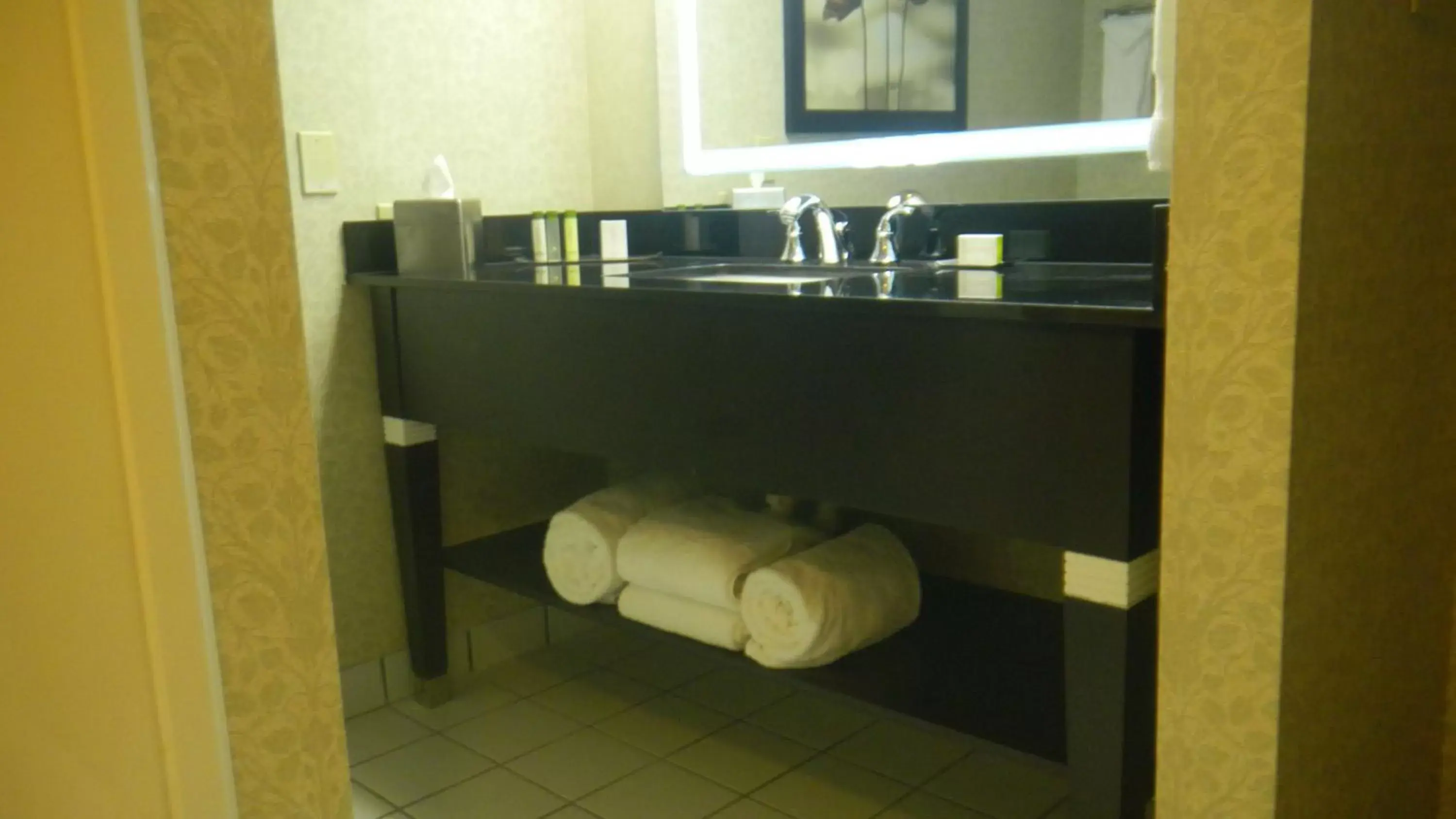 Bathroom in DoubleTree by Hilton Springdale