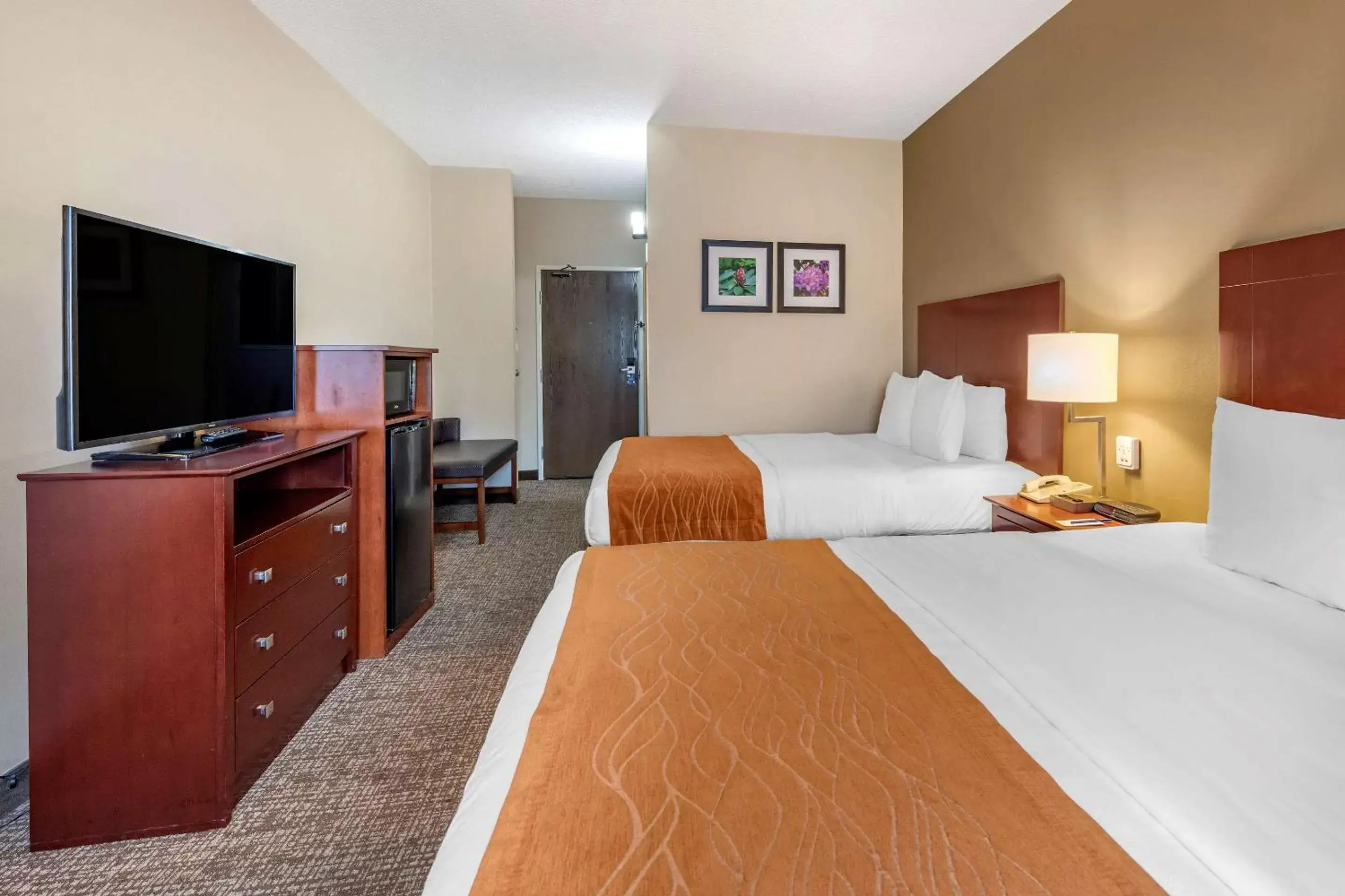 Photo of the whole room, Bed in Comfort Inn & Suites Kelso - Longview