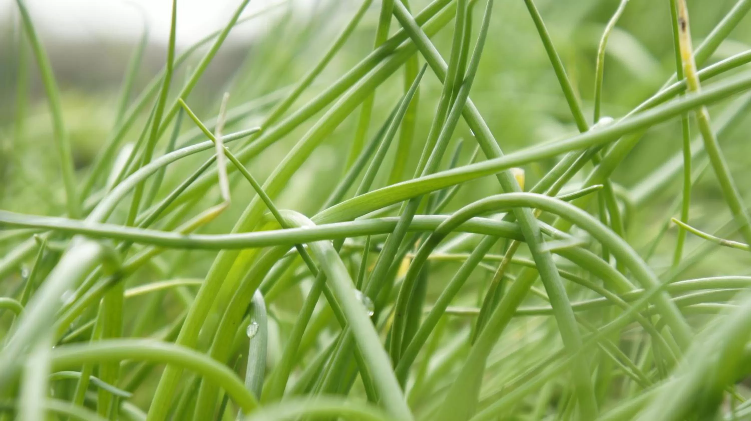 Other in Abergavenny Hotel