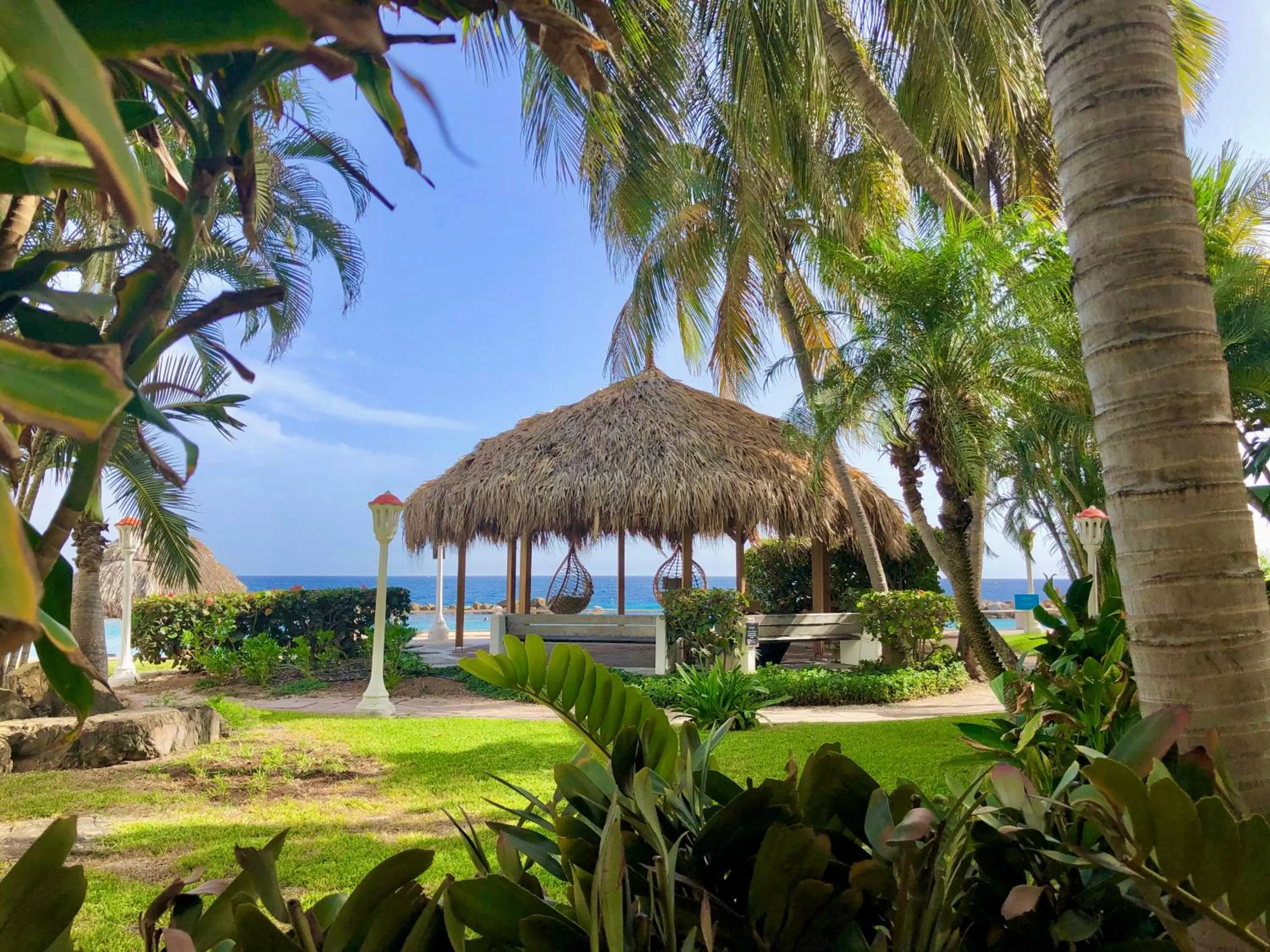 Garden in Curacao Avila Beach Hotel