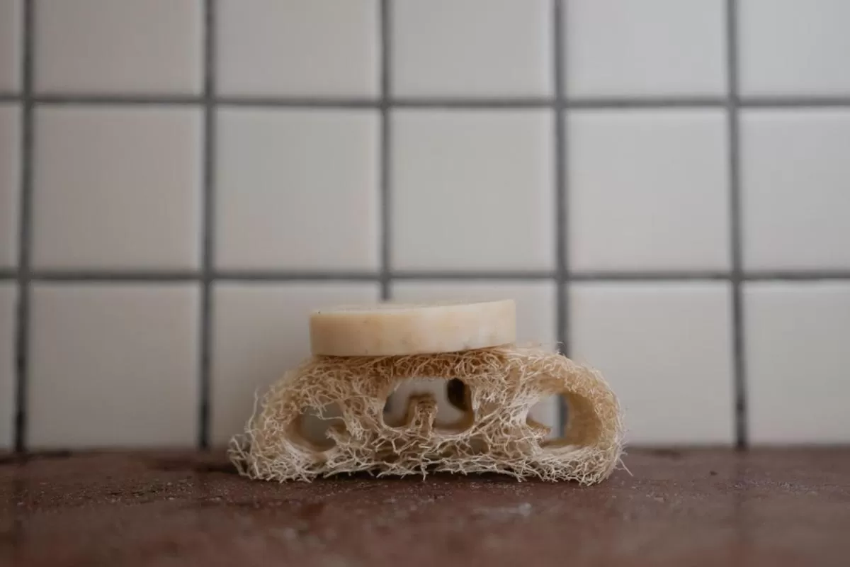 Other in Casa Lomah Hotel