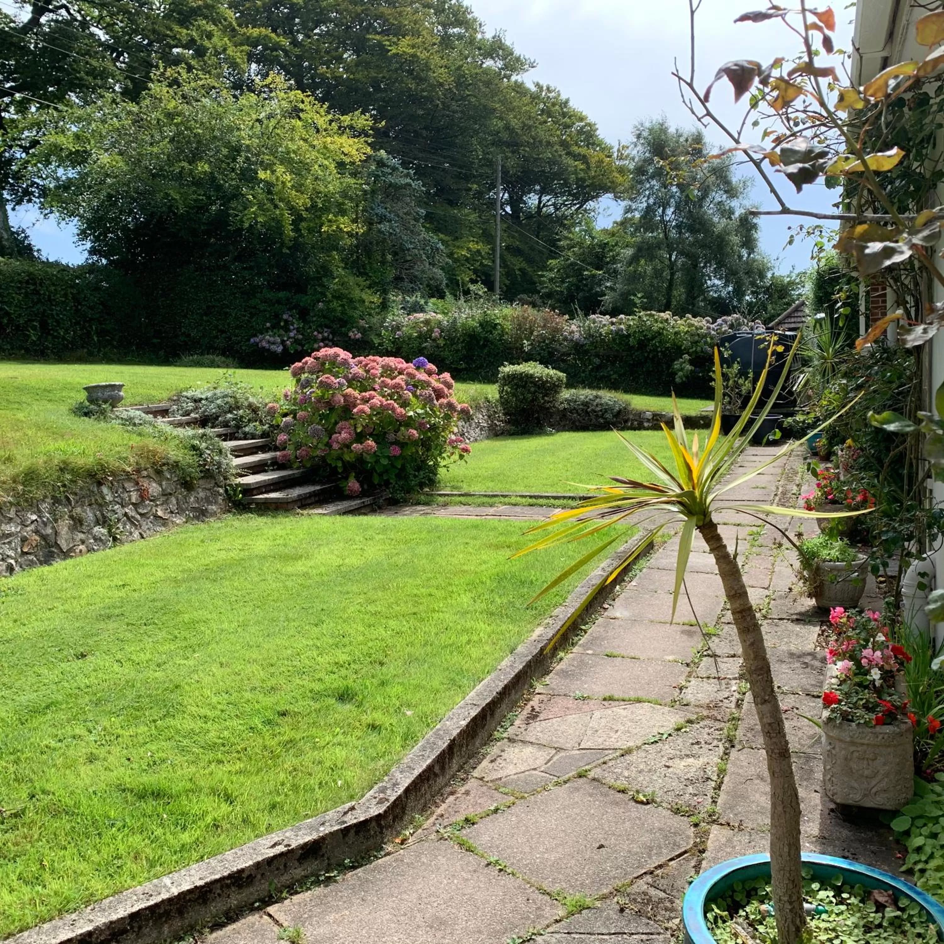 Spring in Nettle Bank