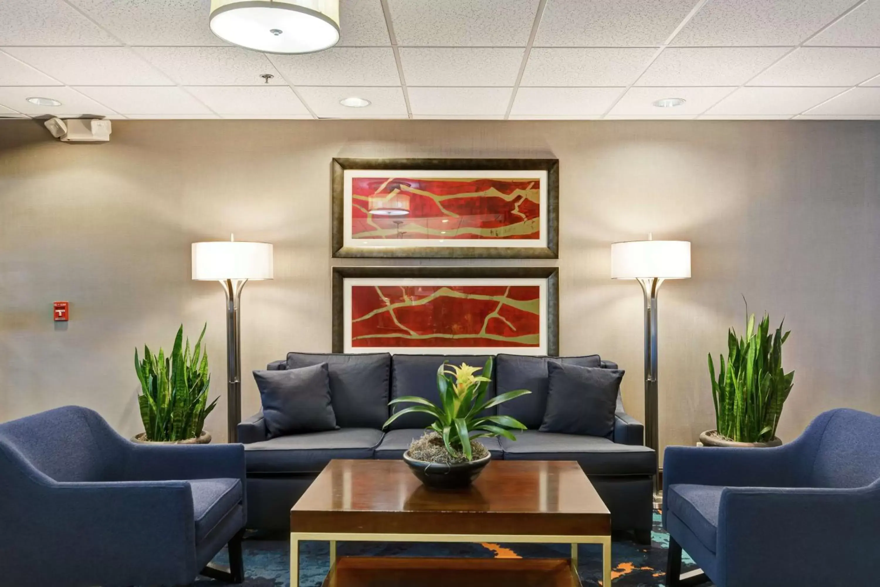 Lobby or reception, Lobby/Reception in Hampton Inn Charlotte-Gastonia