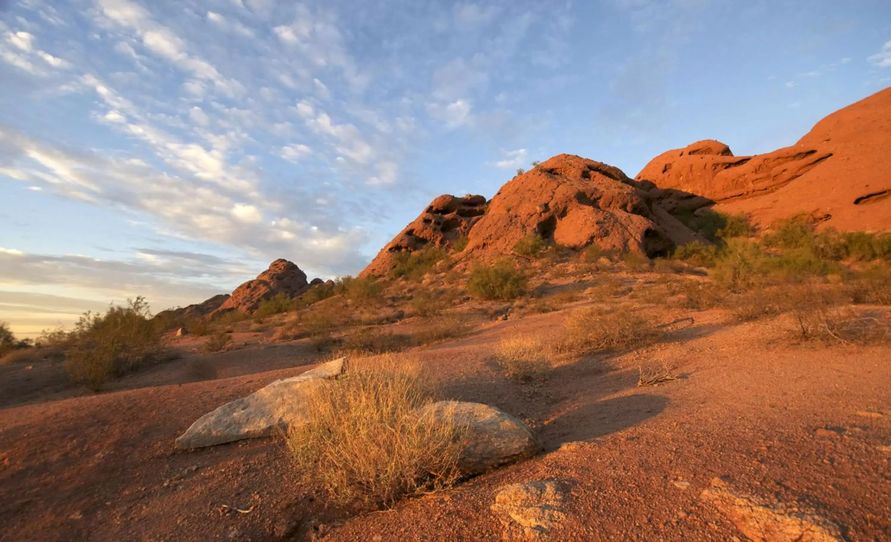 Location, Natural Landscape in Hyatt Place Tempe Phoenix Airport