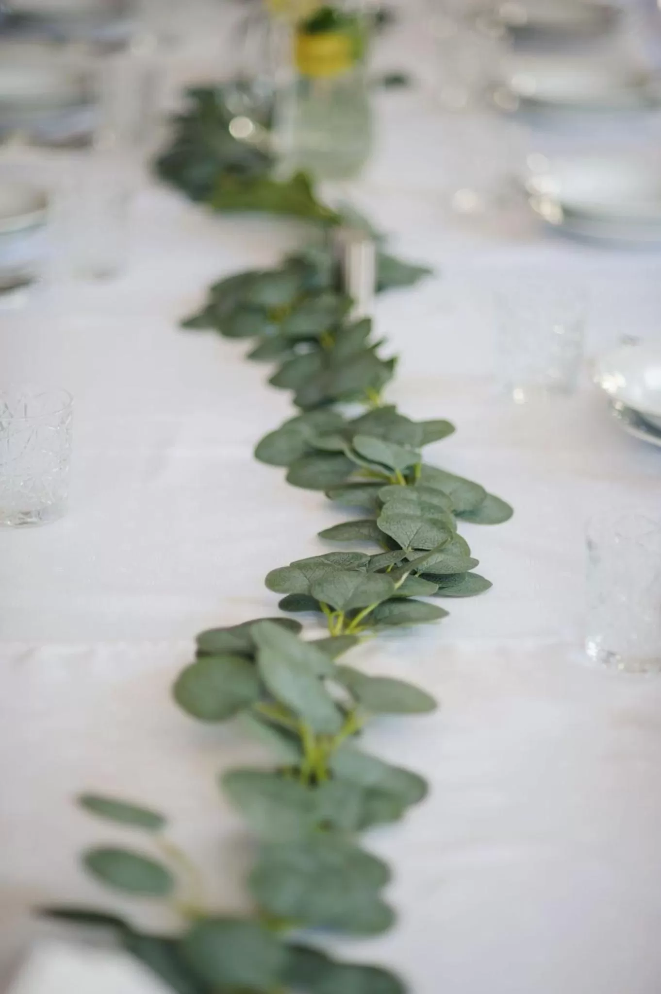 Restaurant/places to eat in Lila Medical SPA