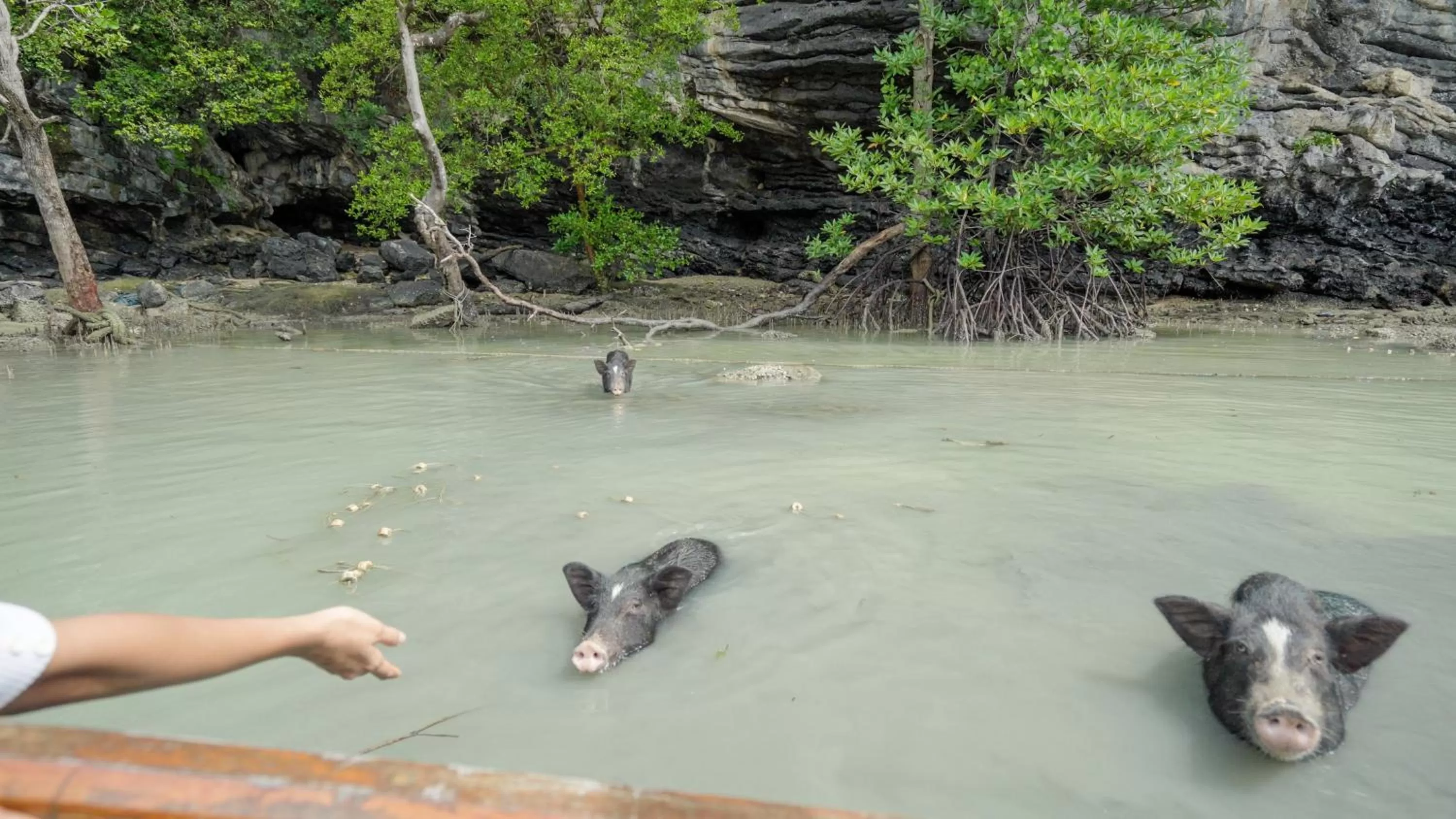 Natural landscape in Janpa Resort