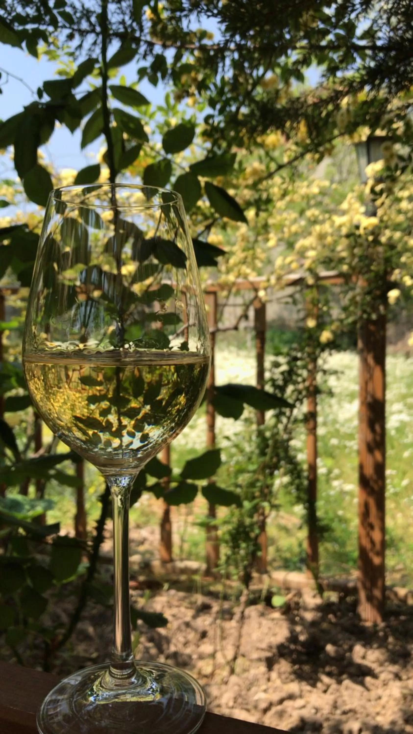 Logo/Certificate/Sign in Melrose Pansiyon