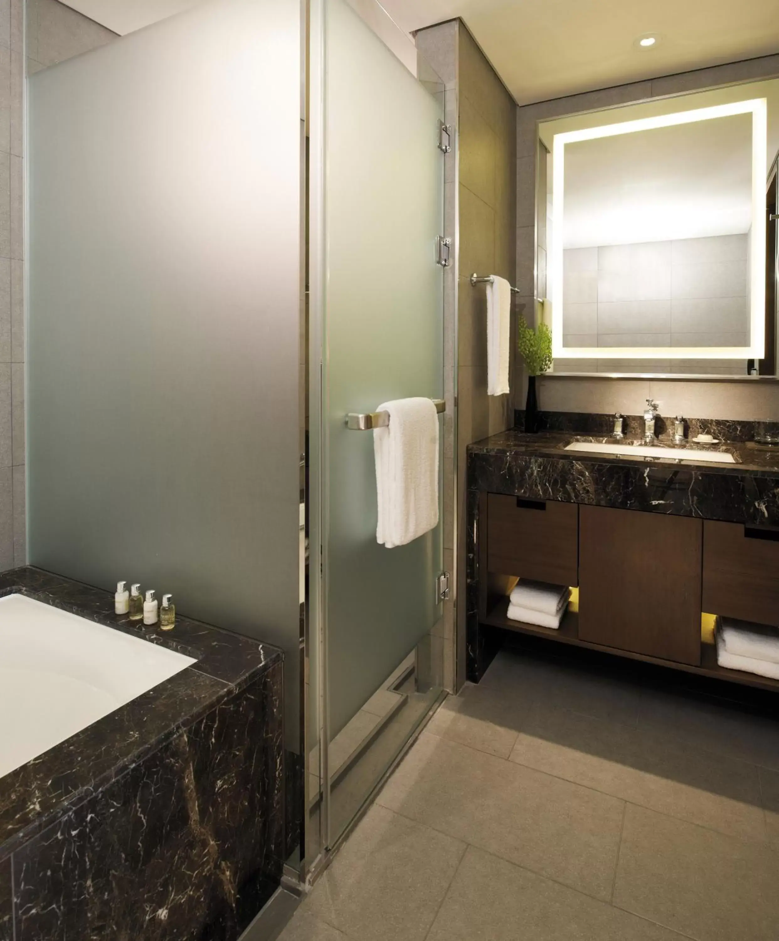 Bathroom in LOTTE City Hotel Mapo