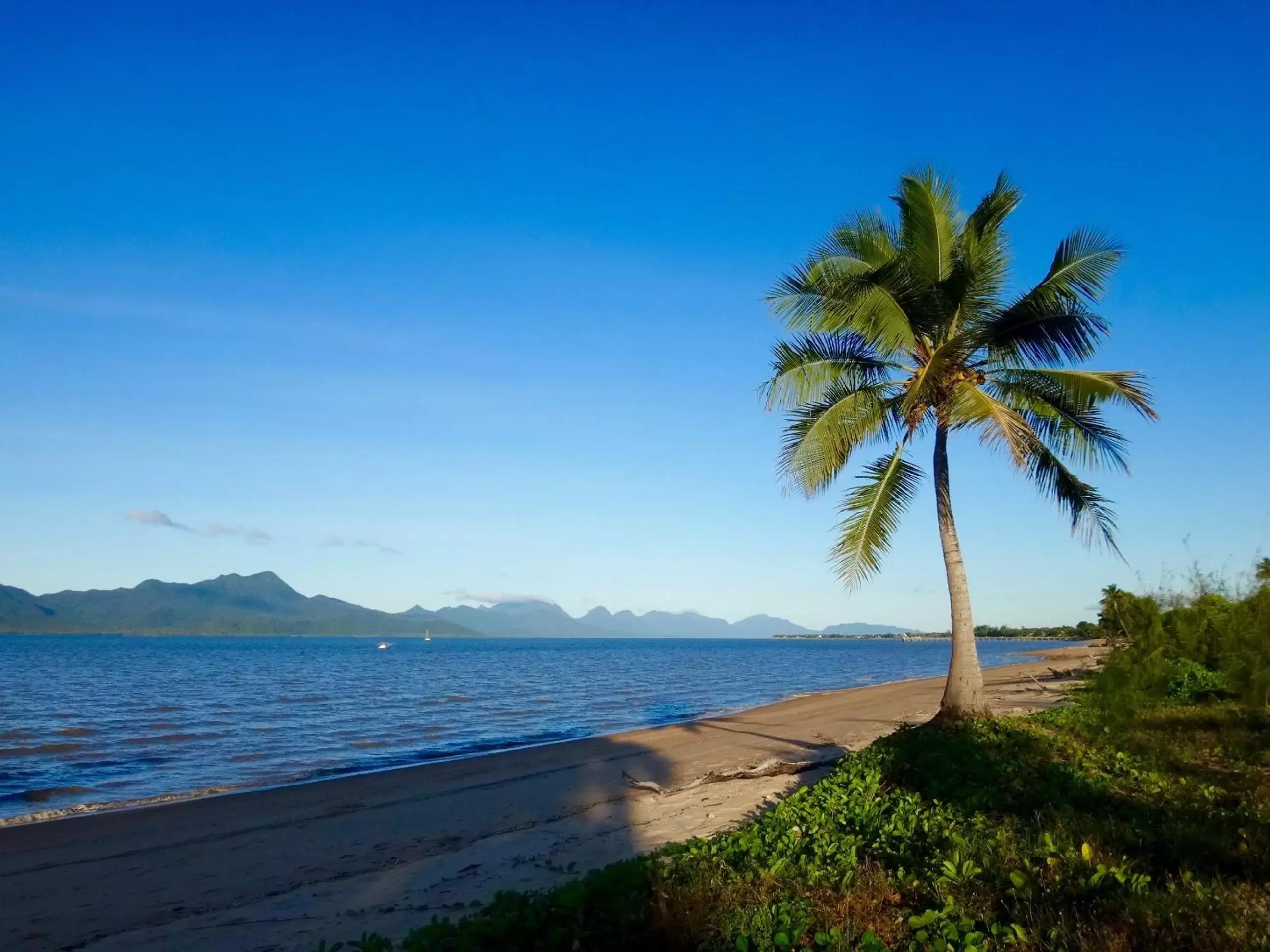 Beach in Cardwell at the Beach