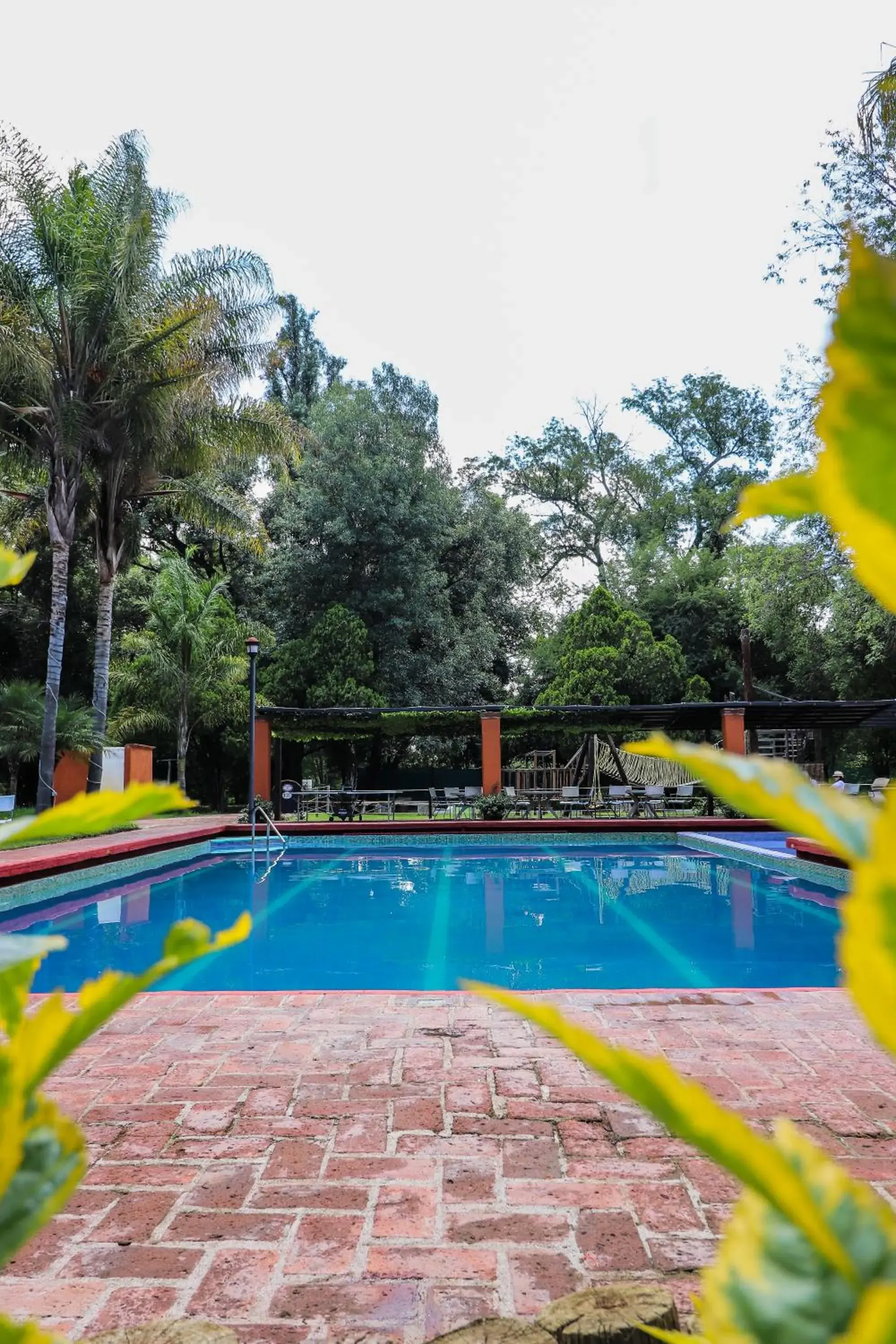 Swimming Pool in El Marques Hacienda