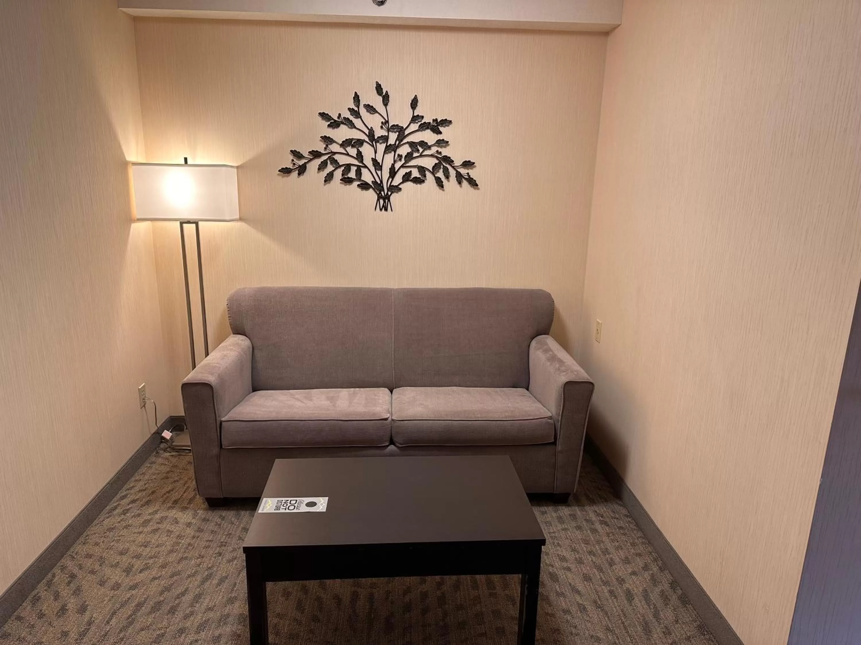 Living room in Chateau Canmore