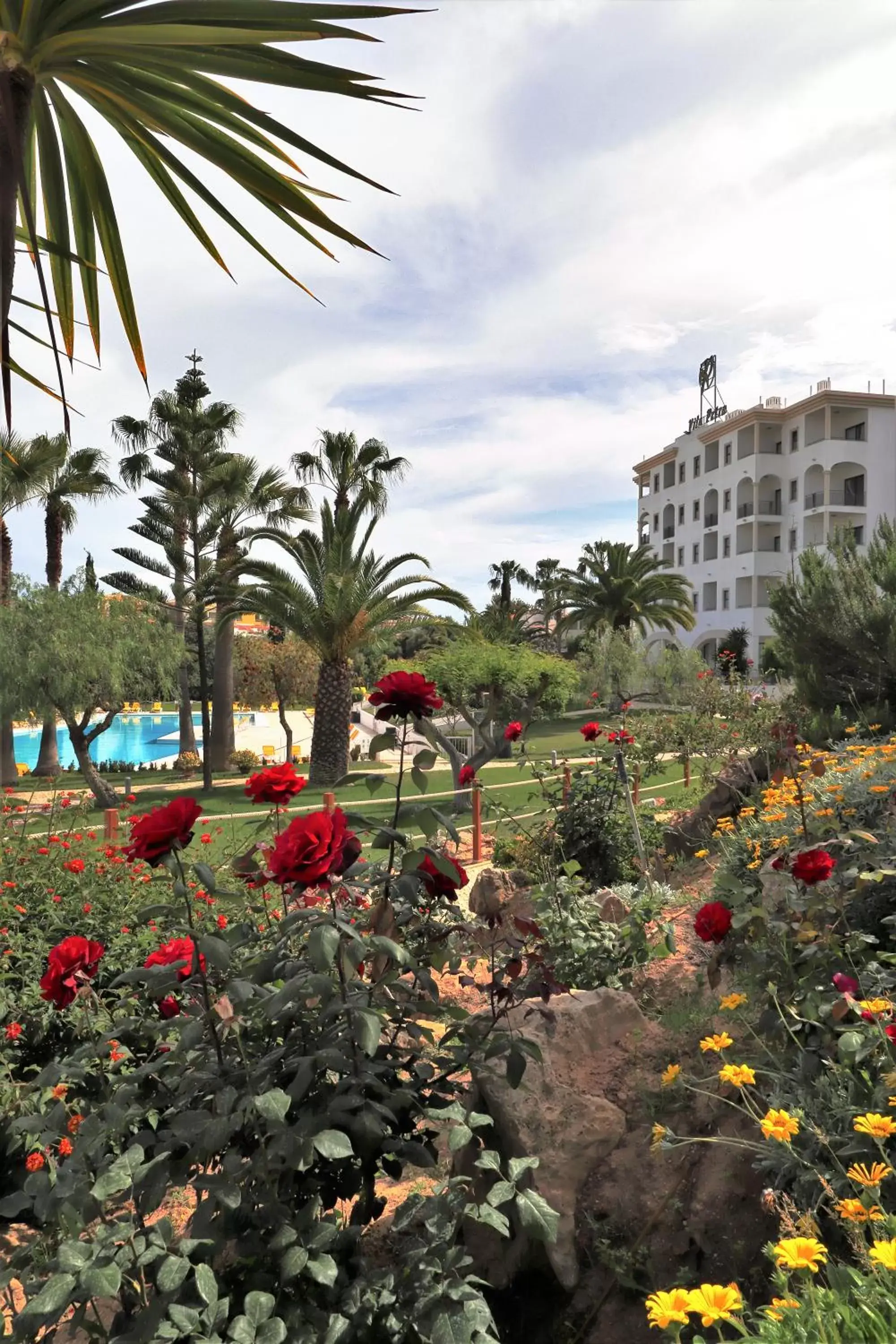 Garden in Vila Petra