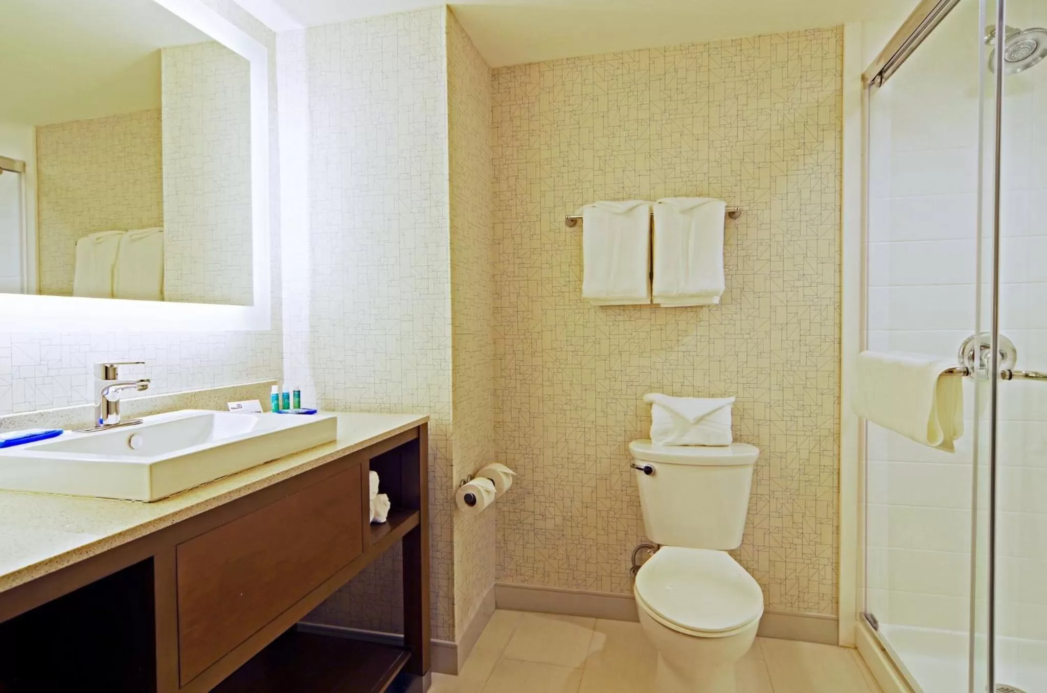Bathroom in Holiday Inn Express & Suites - Phoenix North - Scottsdale by IHG
