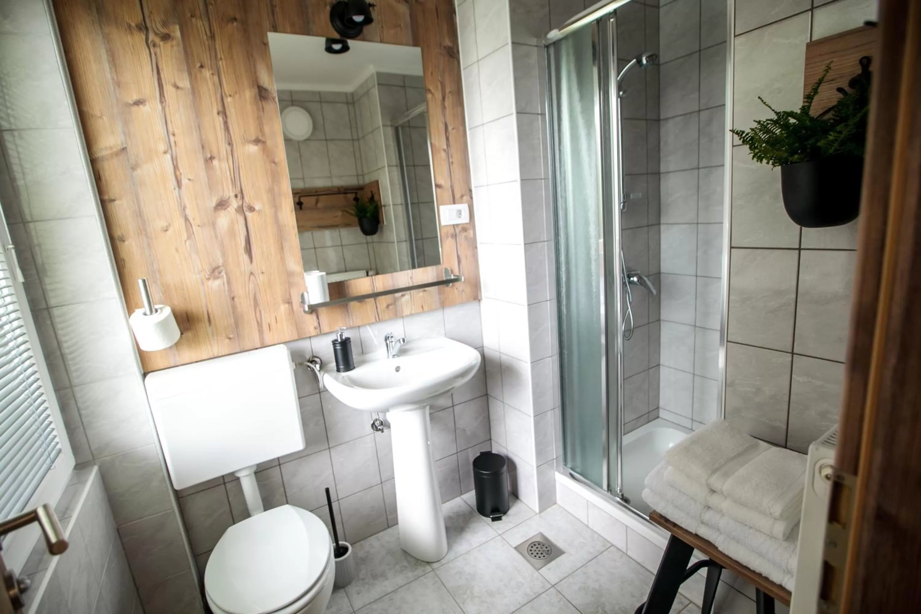 Shower in Hiša Poljana Rooms