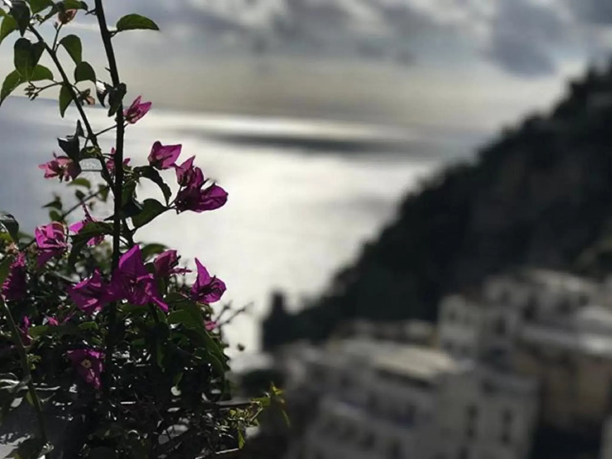 View (from property/room) in Positano Art Hotel Pasitea