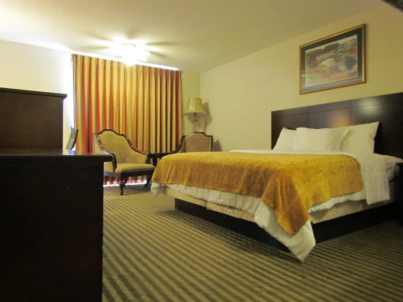 Photo of the whole room, Room Photo in Romana Hotel - Houston Southwest