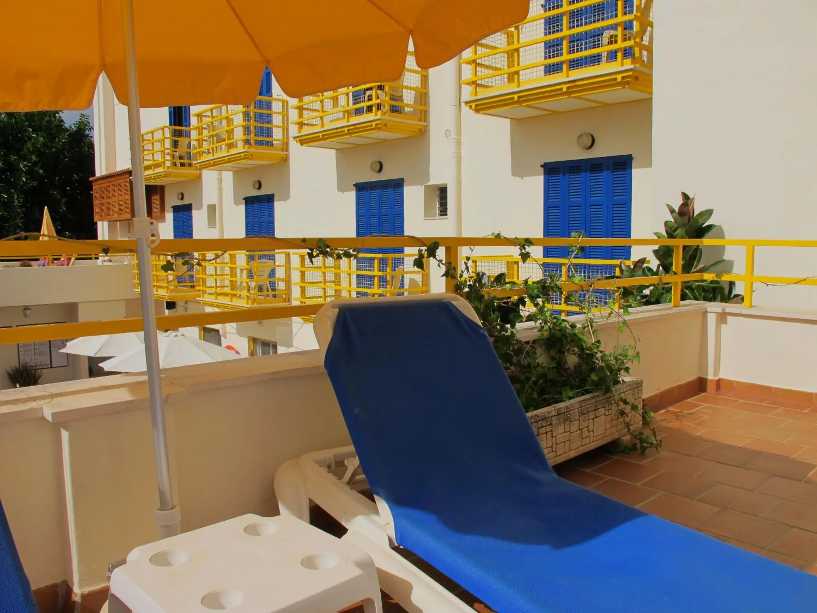 Area and facilities in Bellavista Hotel & Spa