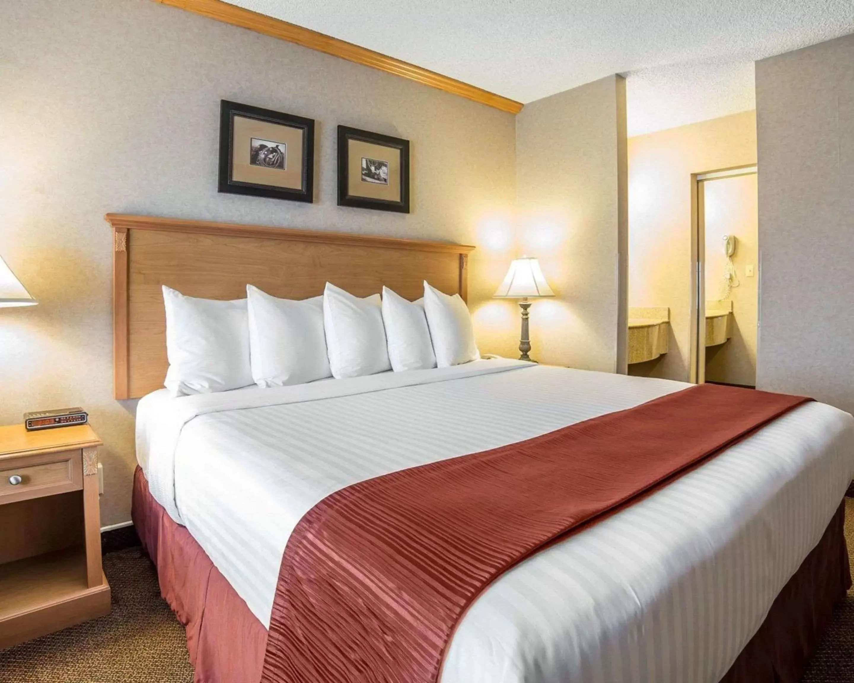 Photo of the whole room, Bed in Quality Inn & Suites Casper near Event Center