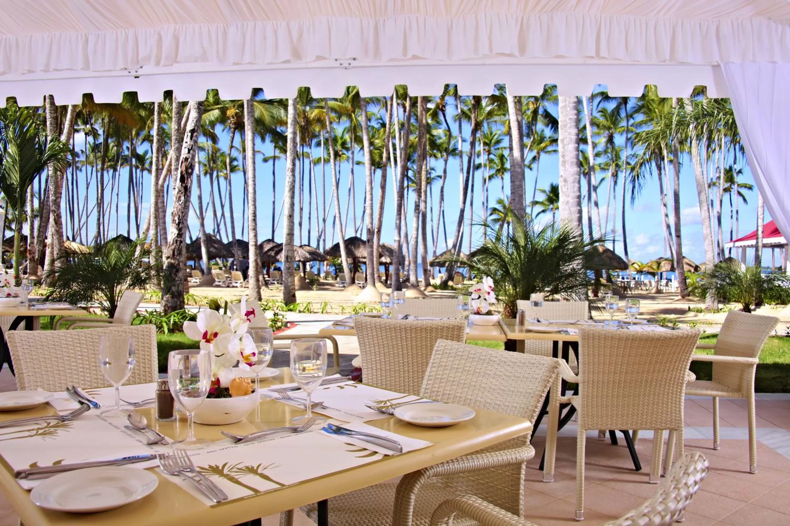 Restaurant/places to eat in Bahia Principe Luxury Bouganville - Adults Only All Inclusive