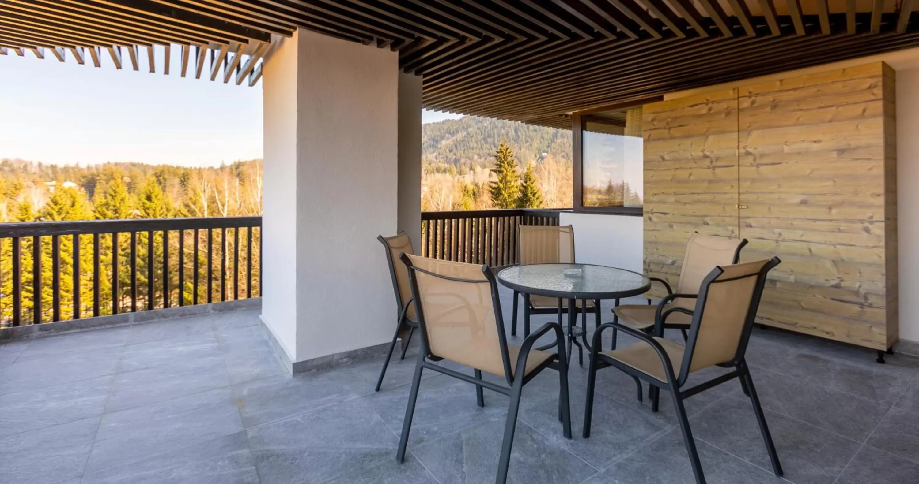 Balcony/Terrace in Alpin Resort Hotel