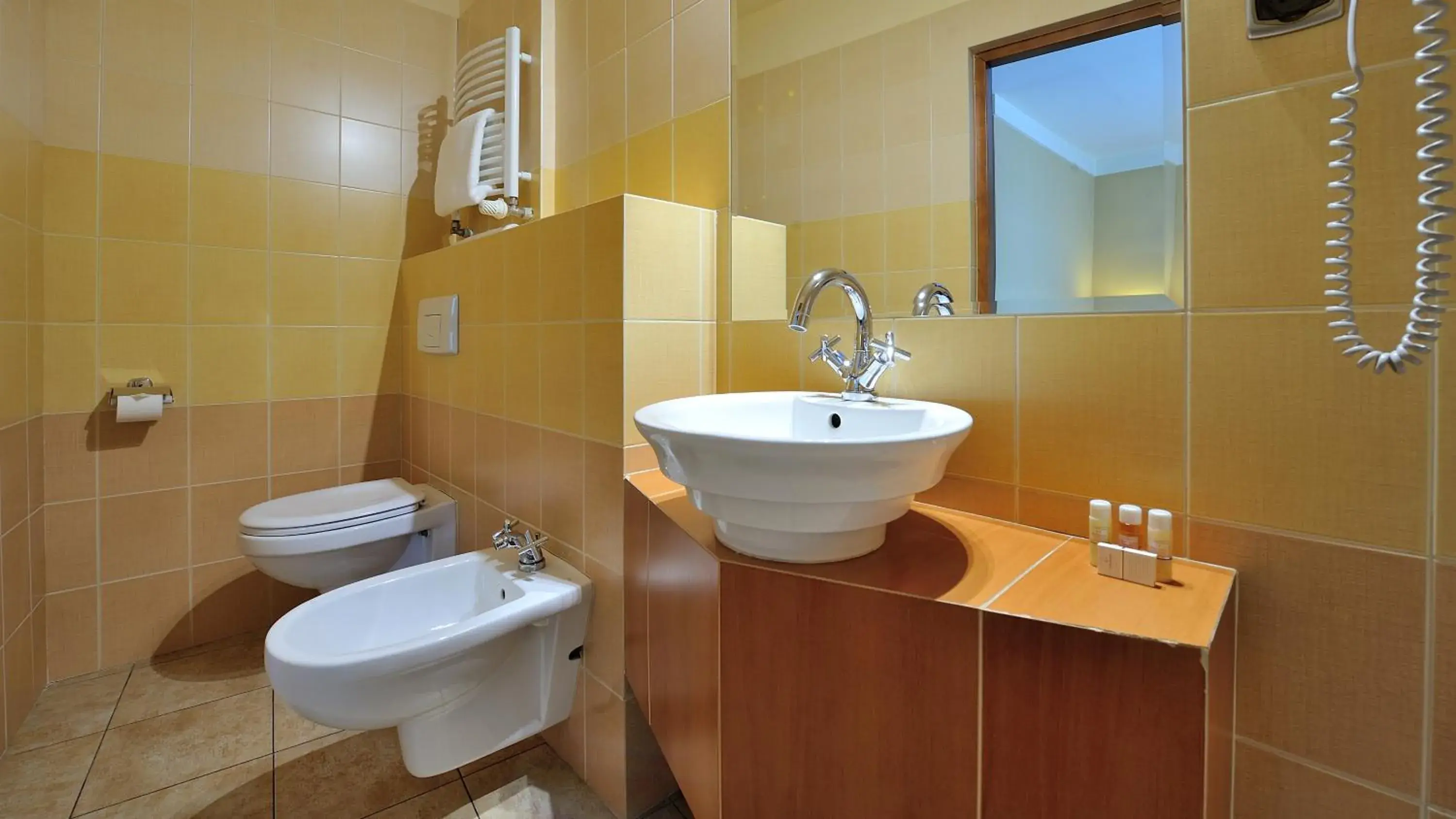 Toilet, Bathroom in Hotel Diament Vacanza Katowice - Siemianowice