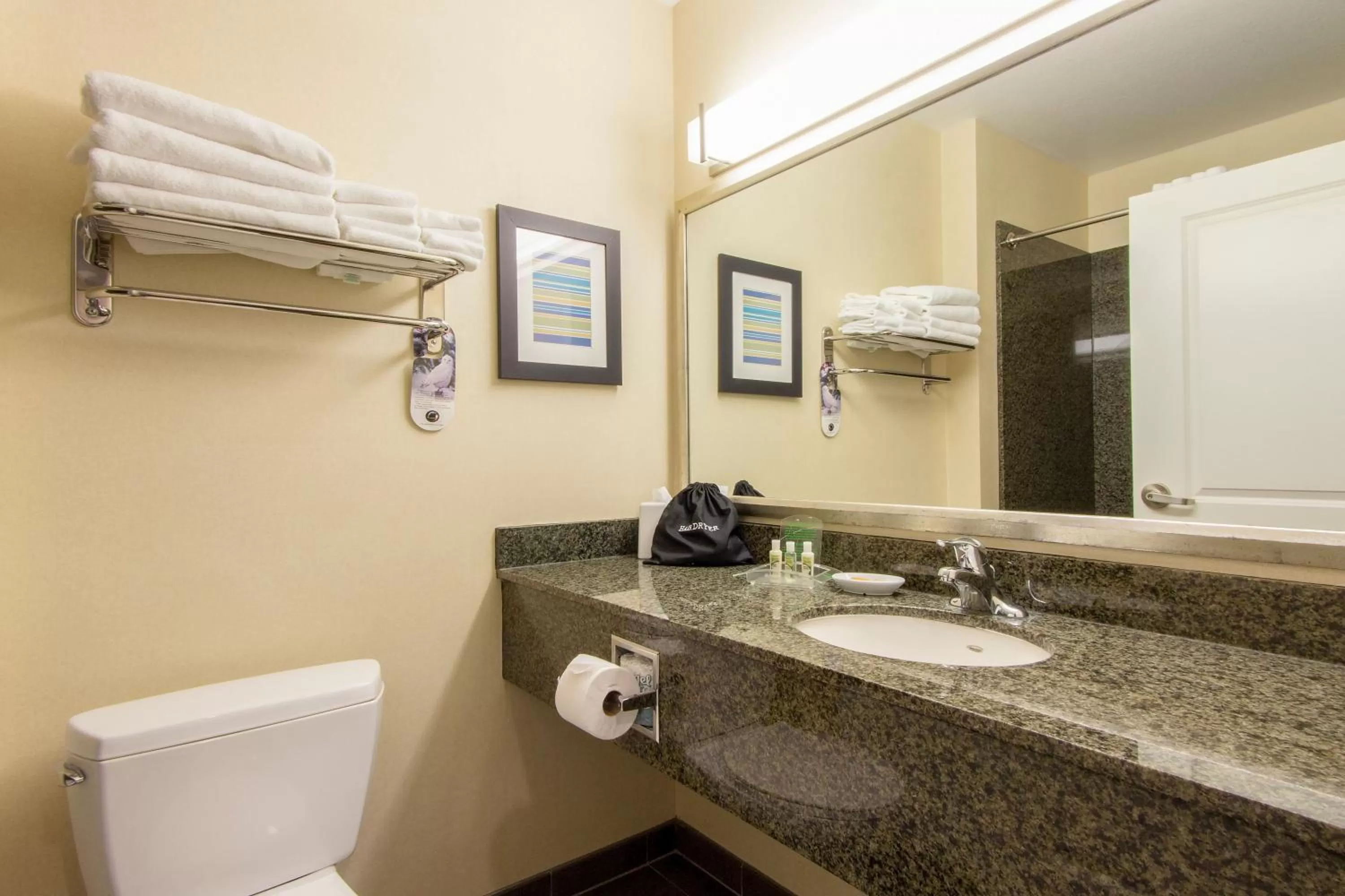 Bathroom in Holiday Inn Scottsdale North- Airpark by IHG