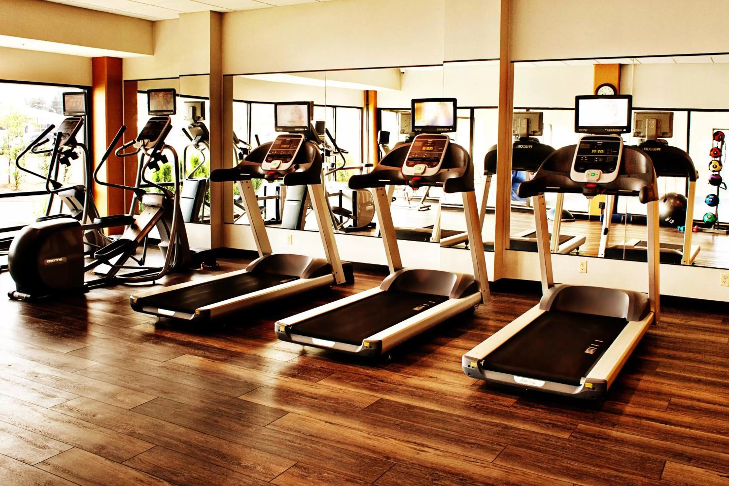 Fitness centre/facilities in Holiday Inn - Salem by IHG